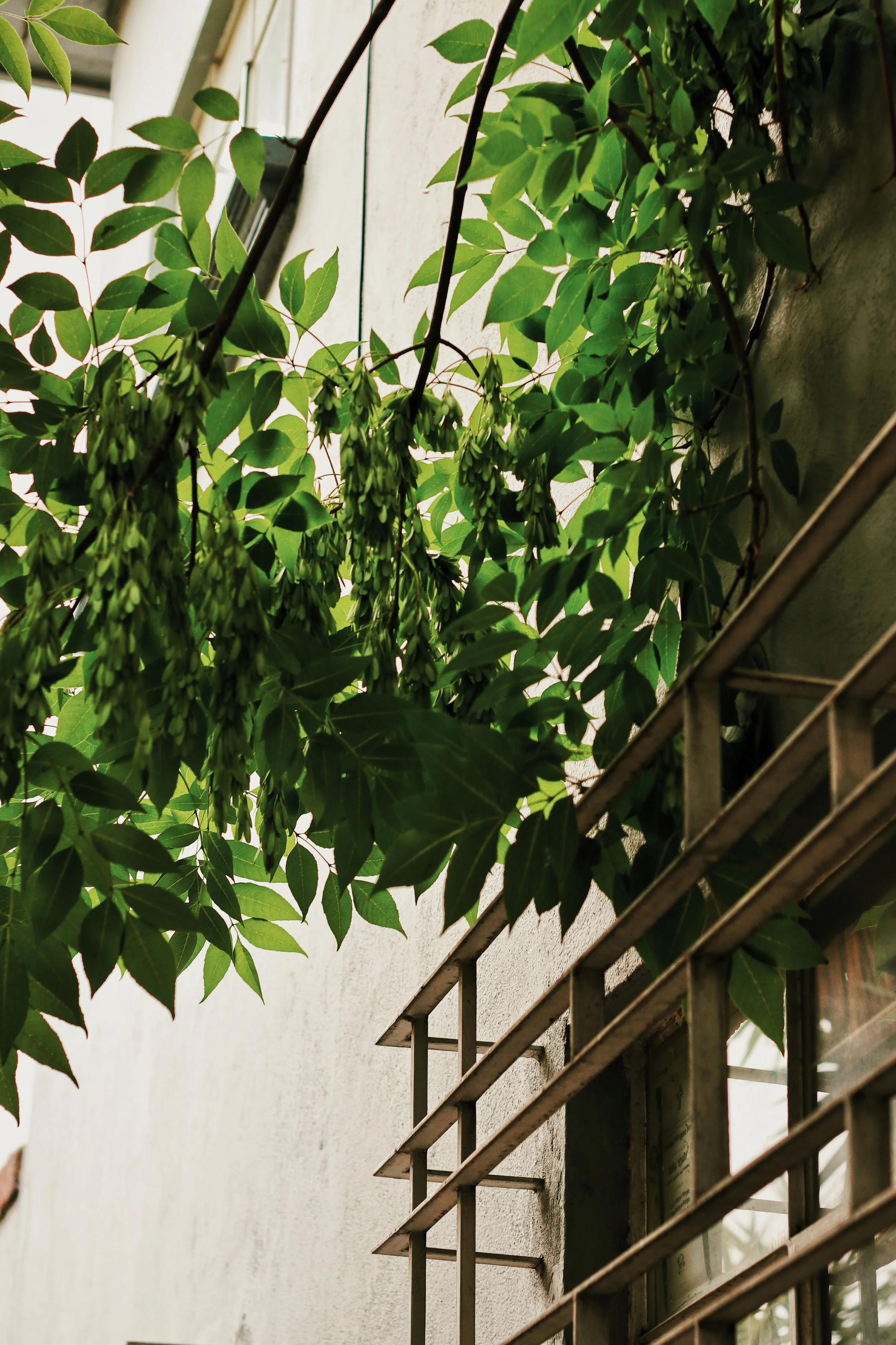 FullSizeRender_VSCO 16.JPG