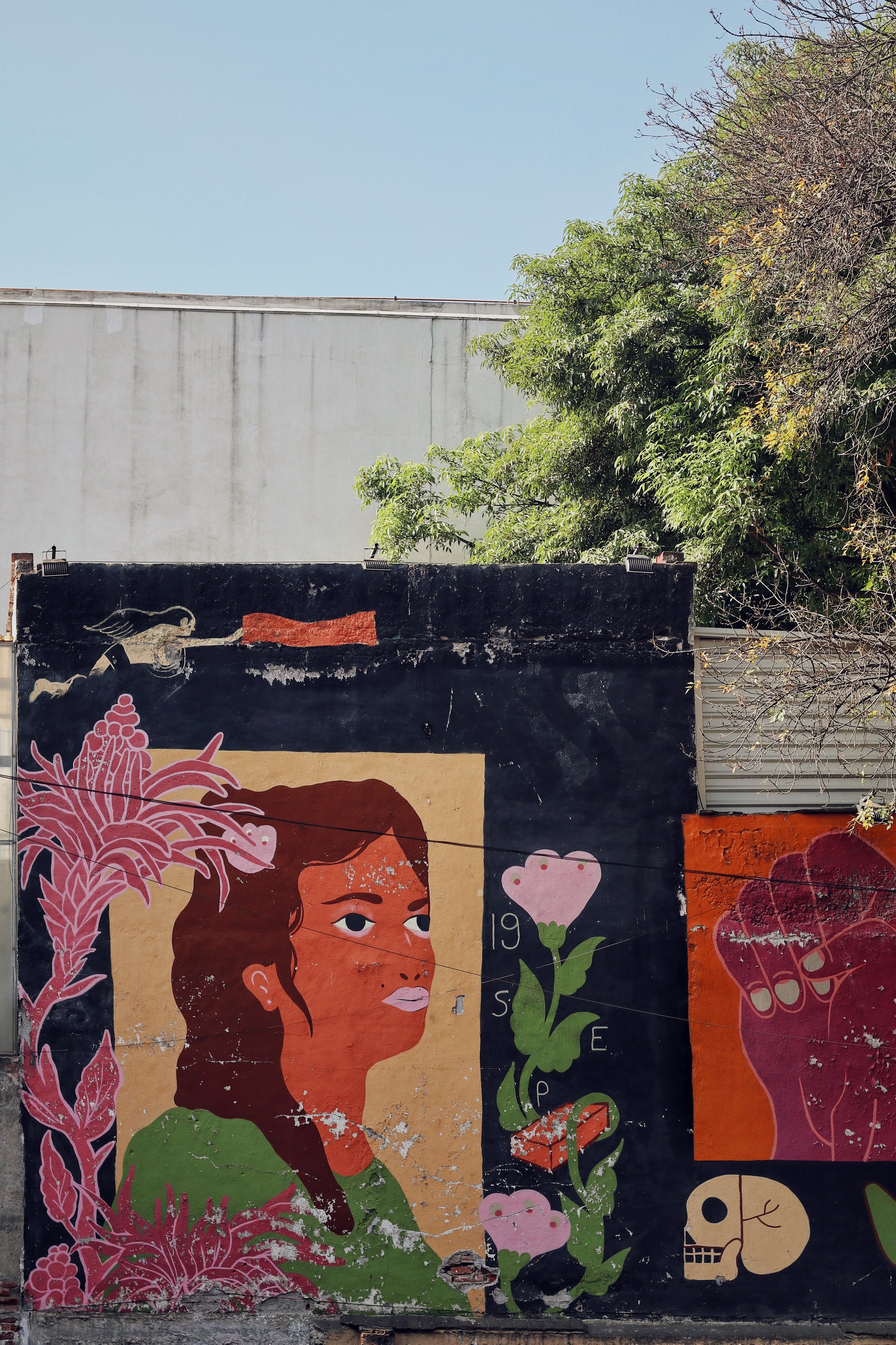 FullSizeRender_VSCO 20.JPG