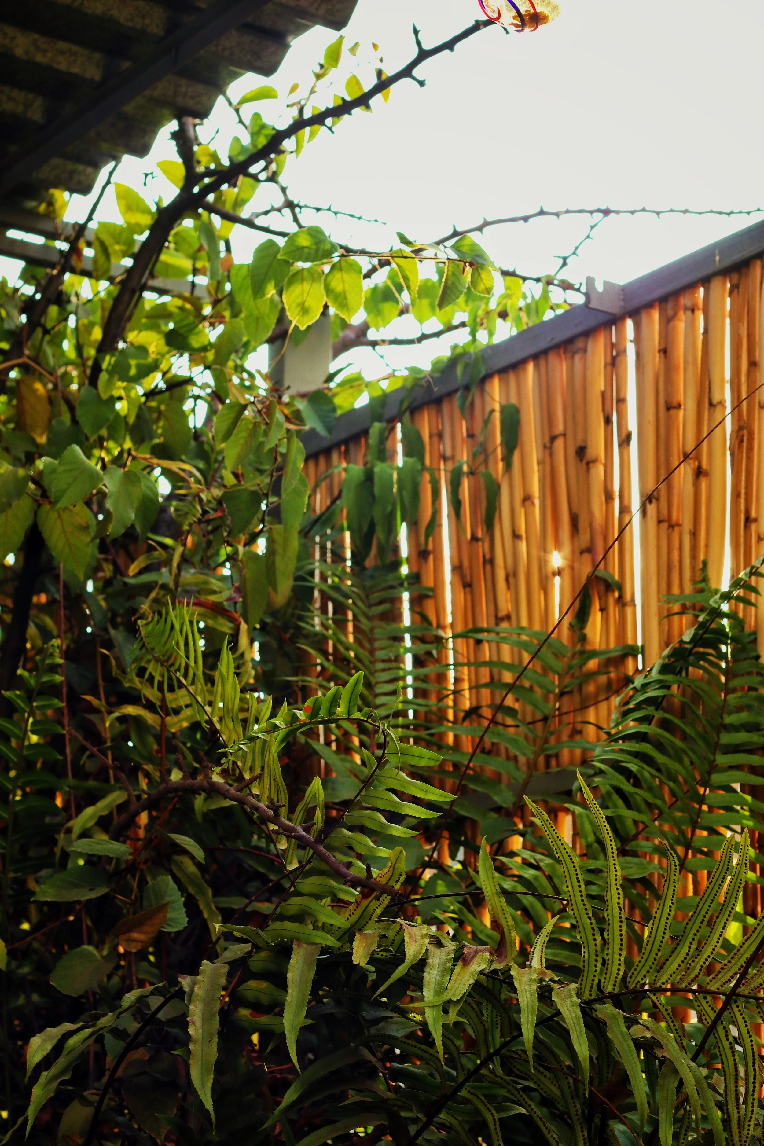 FullSizeRender_VSCO 26.JPG