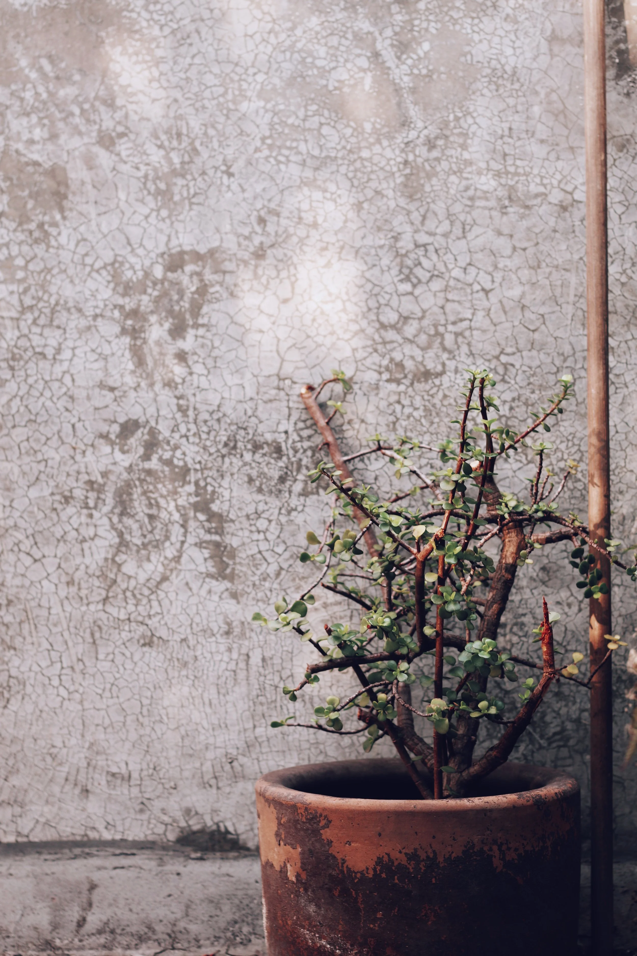 FullSizeRender_VSCO 30.JPG