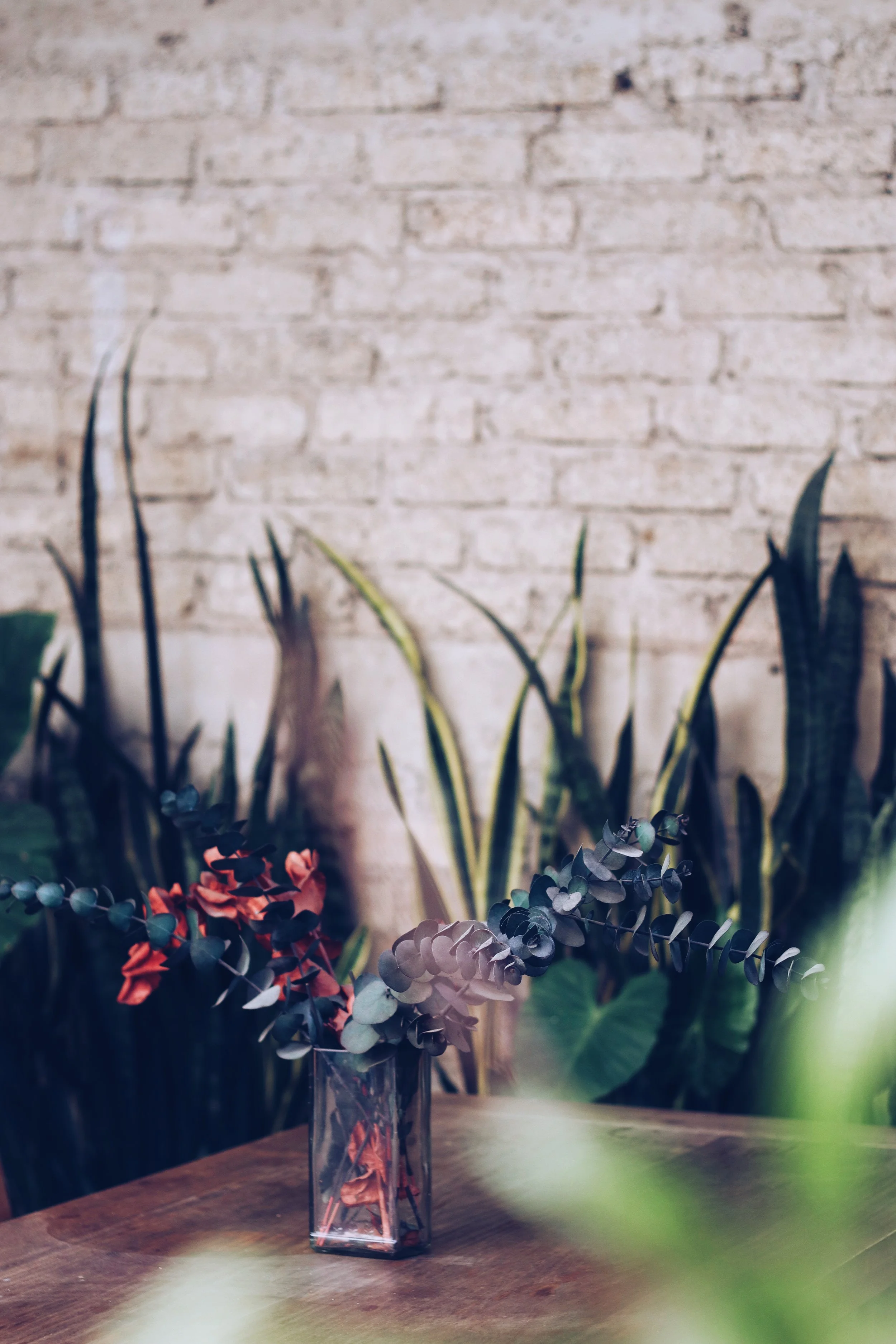 FullSizeRender_VSCO 32.JPG