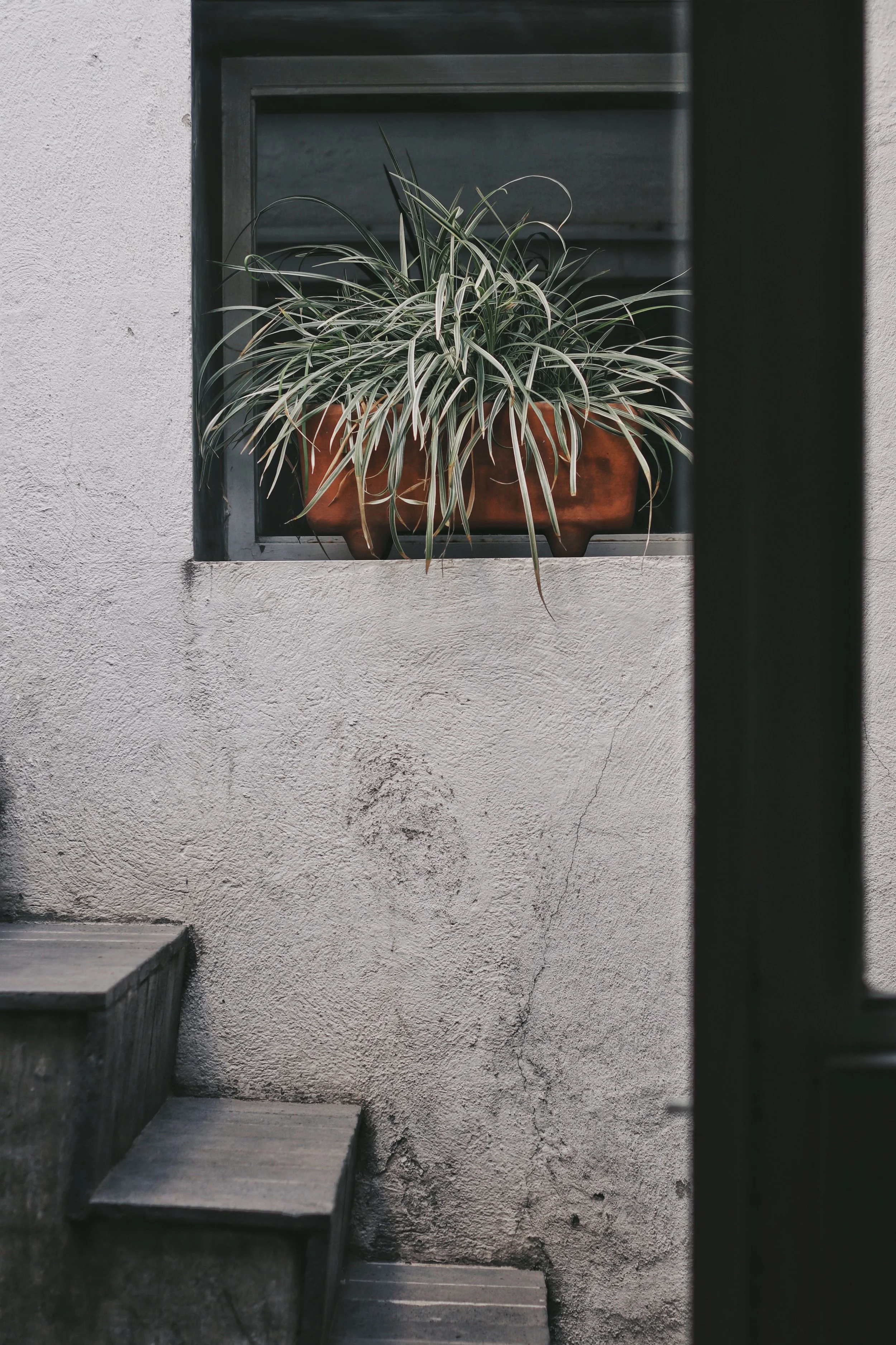 FullSizeRender_VSCO 34.JPG