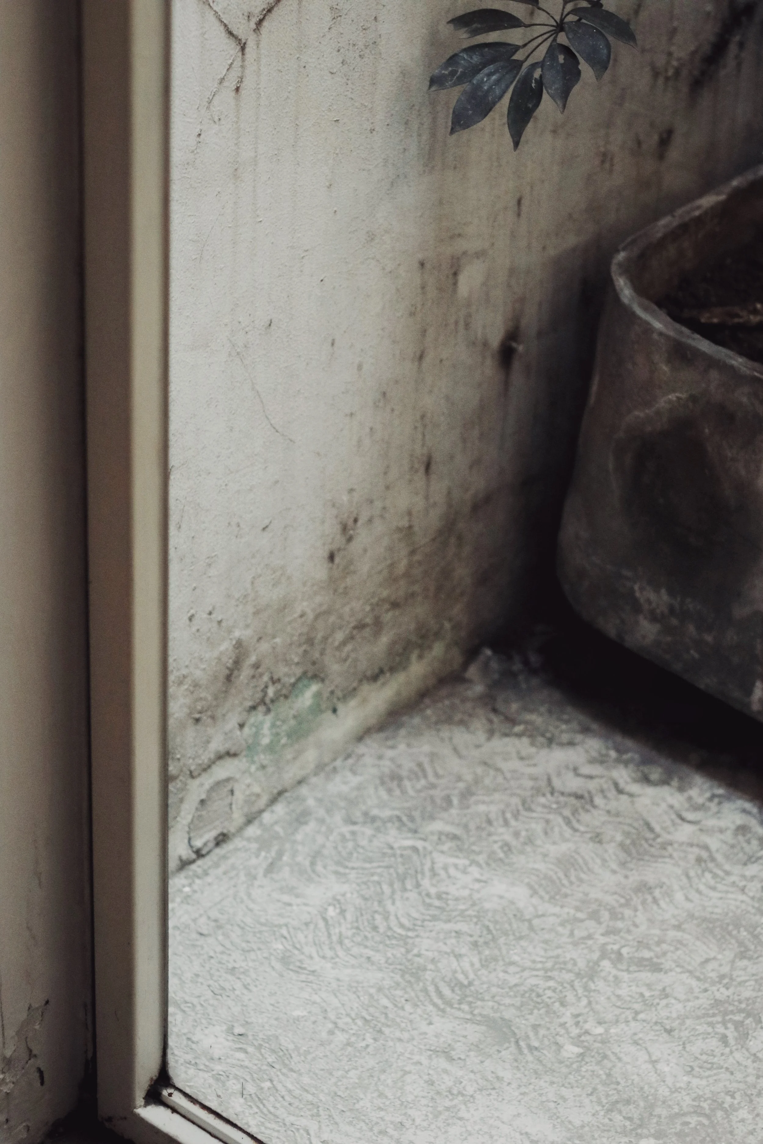 FullSizeRender_VSCO 42.JPG