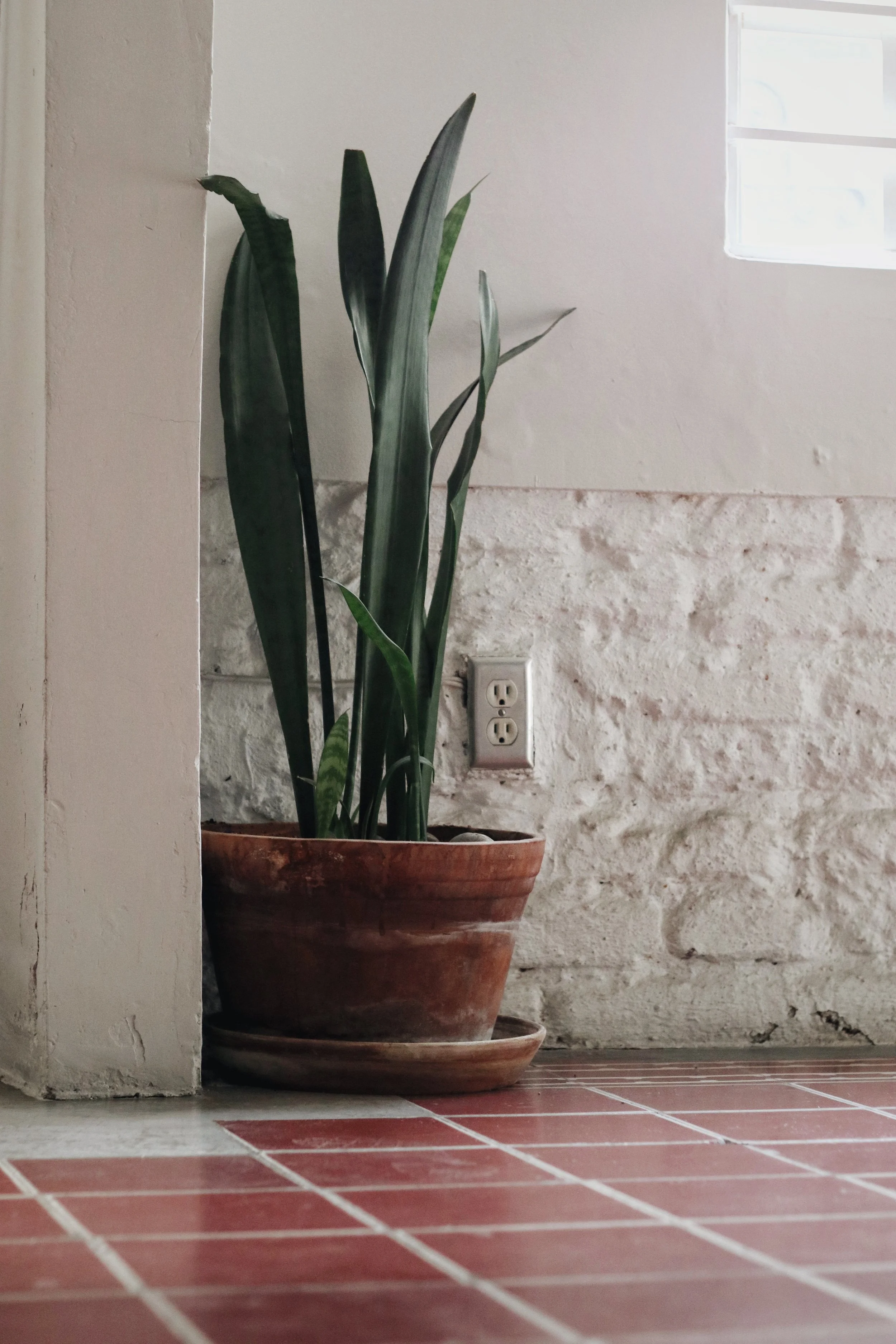 FullSizeRender_VSCO 52.JPG