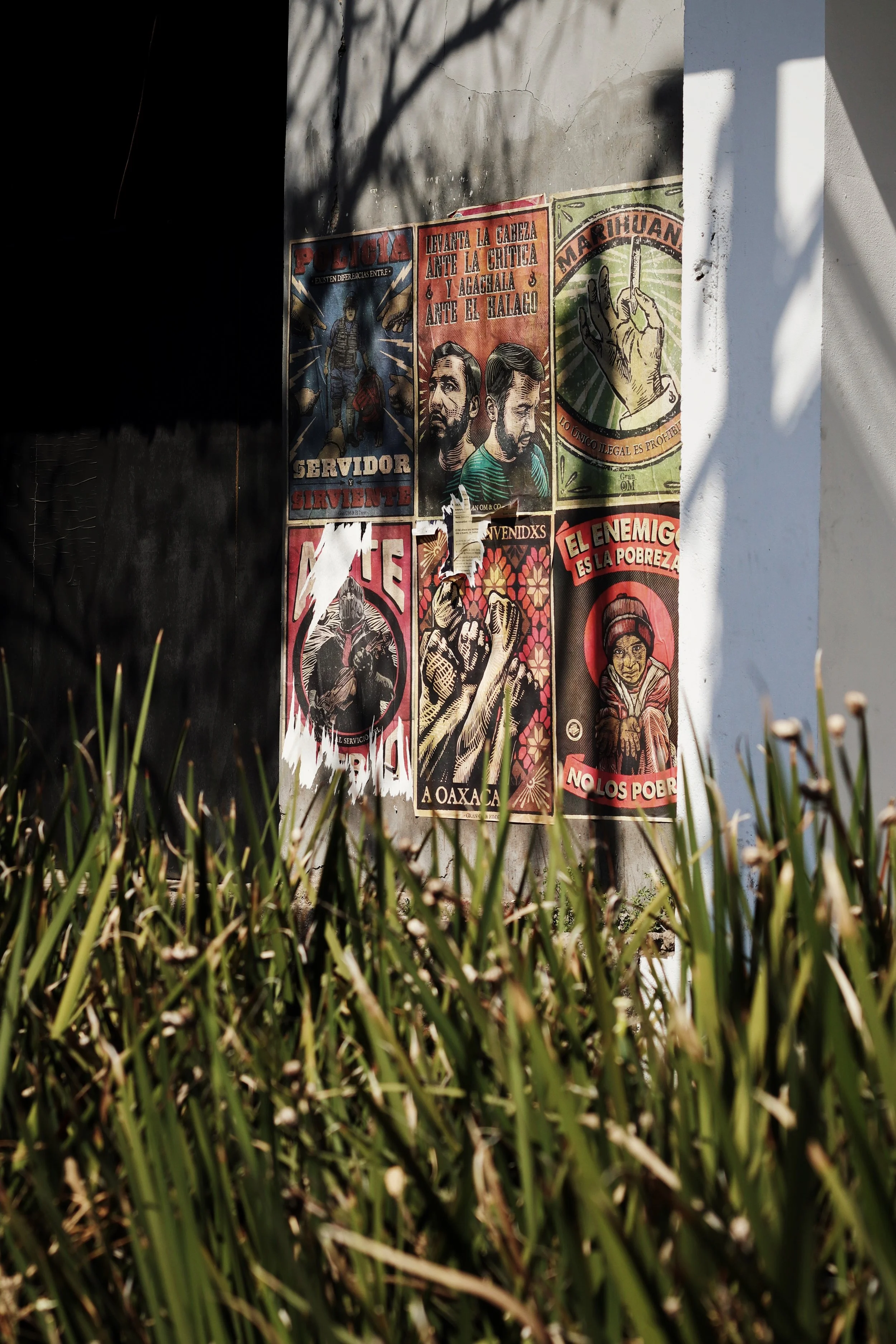 FullSizeRender_VSCO 30.JPG