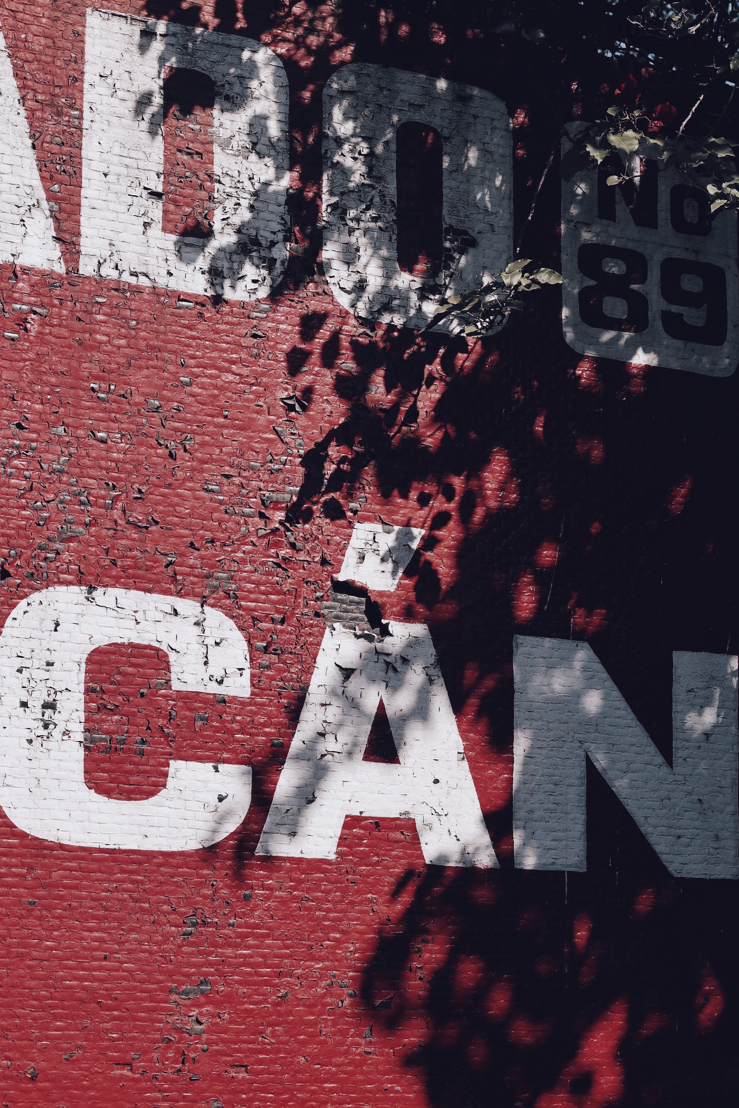 FullSizeRender_VSCO 7.JPG