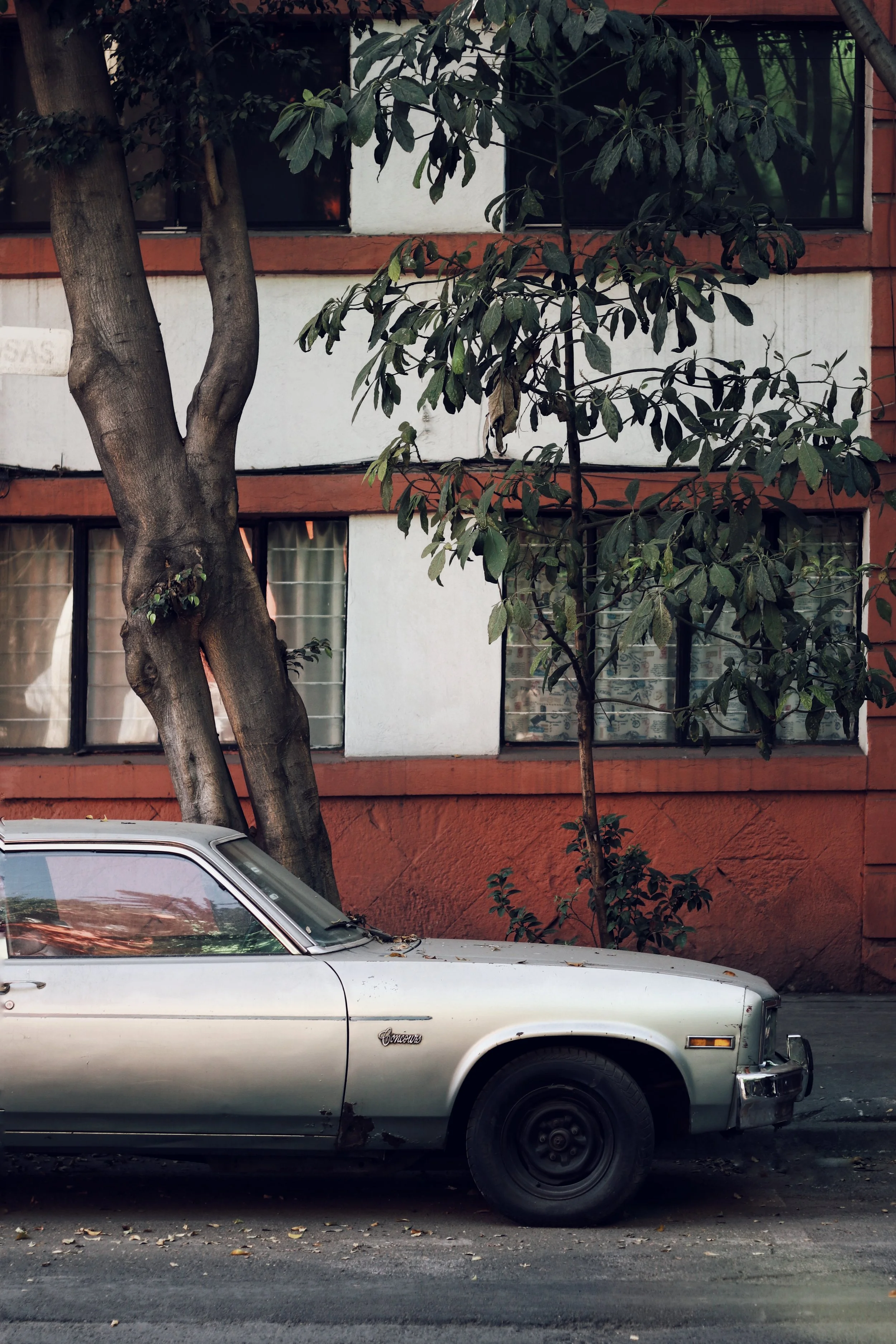 FullSizeRender_VSCO 14.JPG