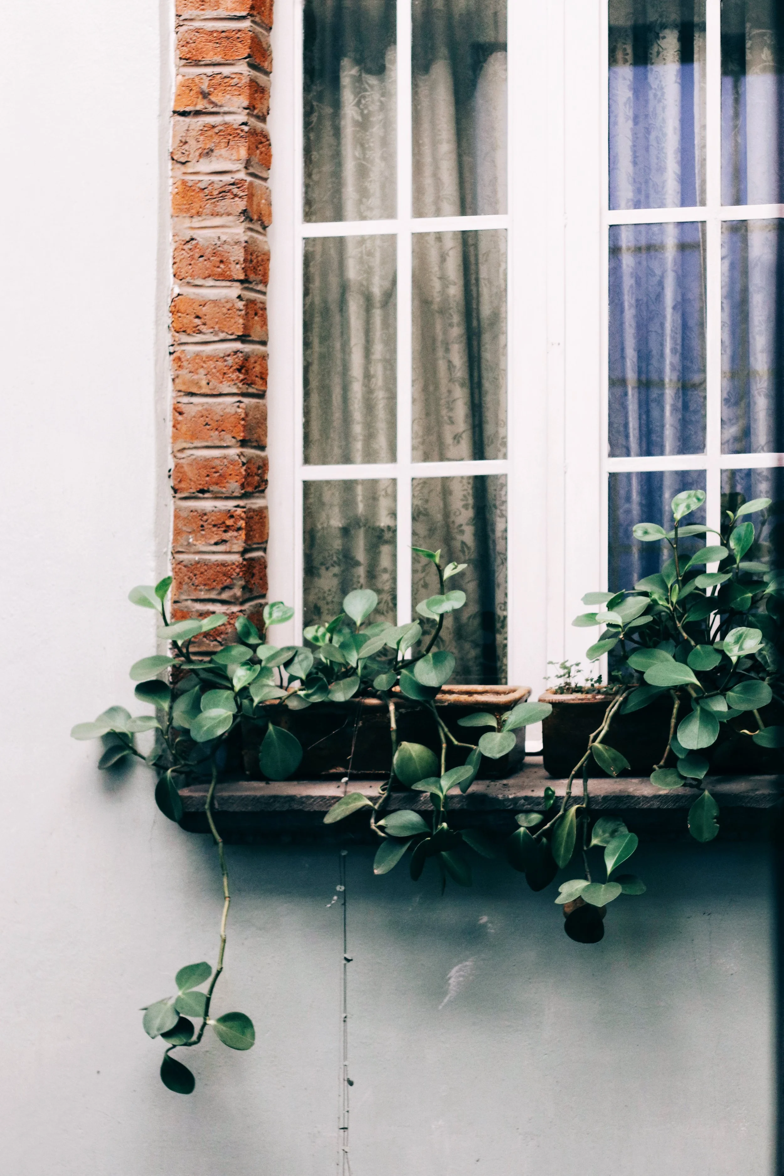 FullSizeRender_VSCO 68.JPG