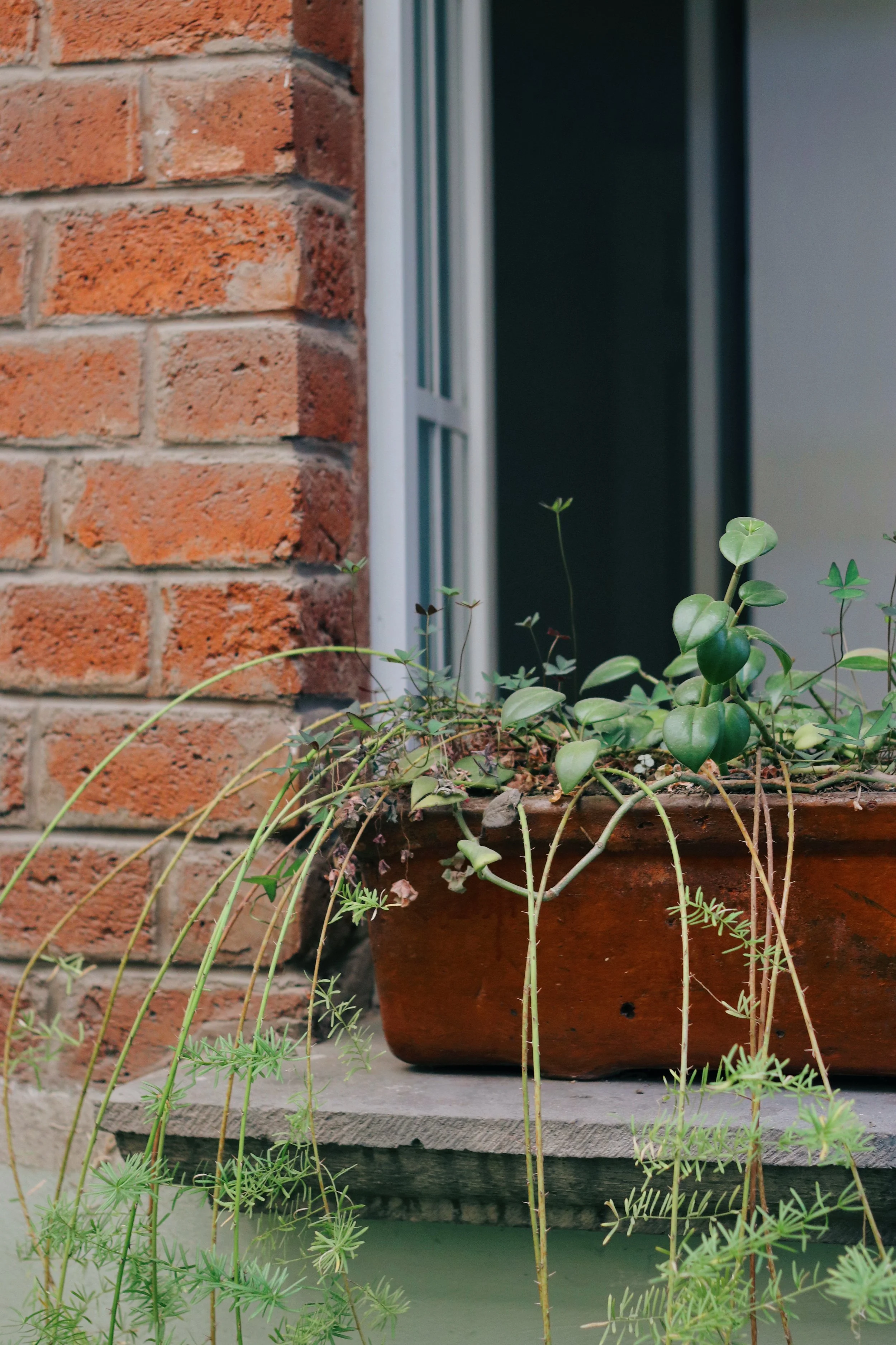 FullSizeRender_VSCO 71.JPG