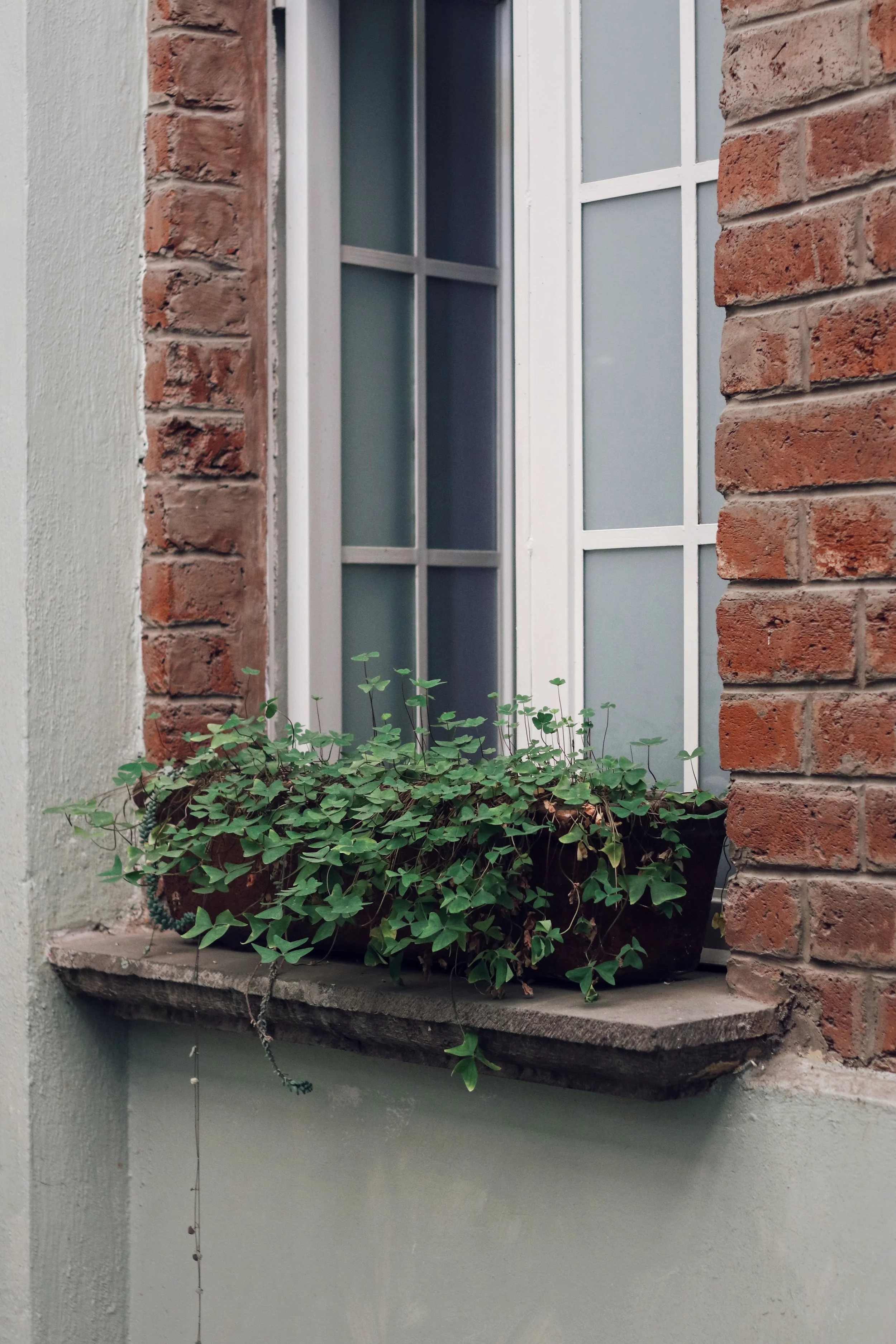 FullSizeRender_VSCO 72.JPG