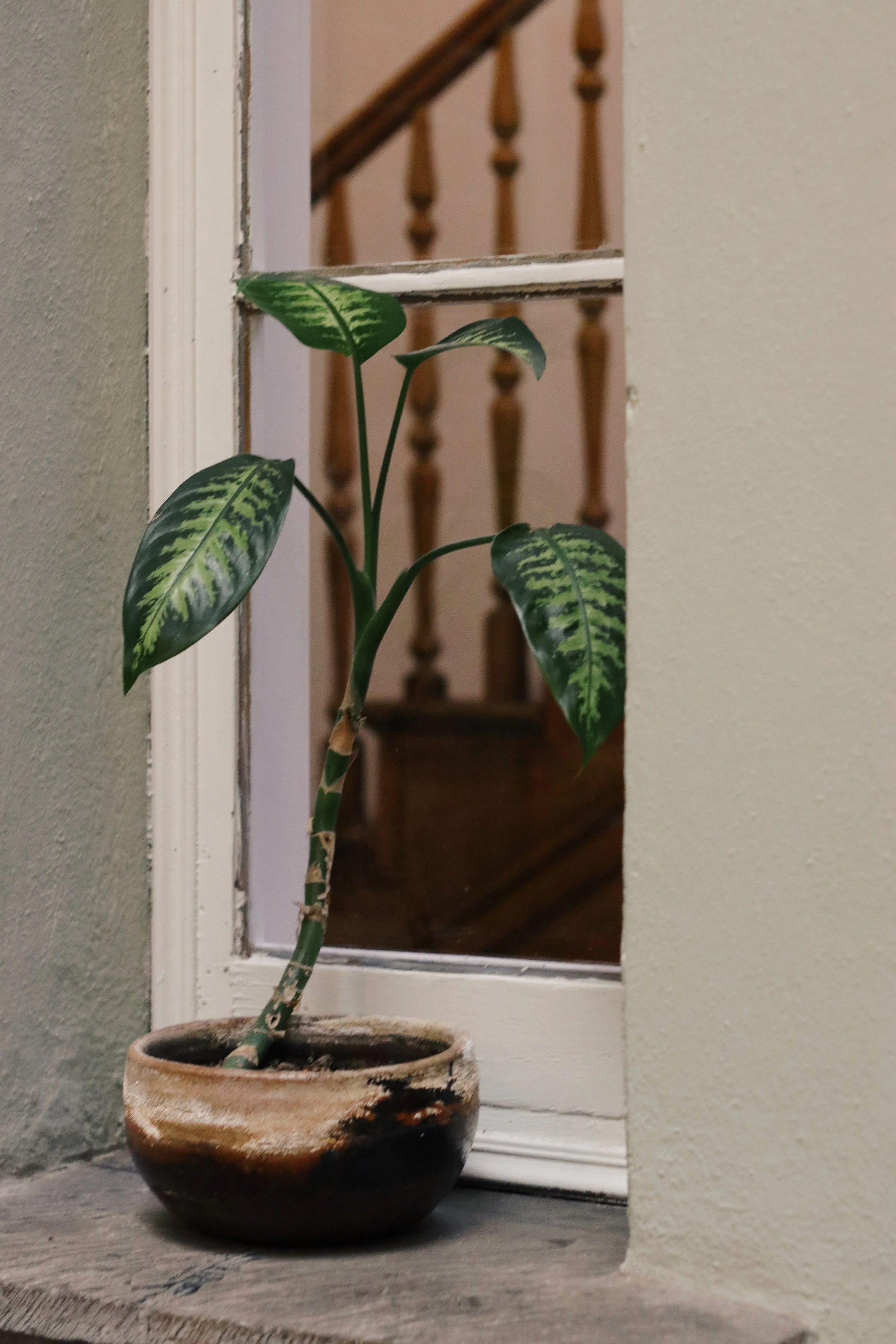 FullSizeRender_VSCO 75.JPG