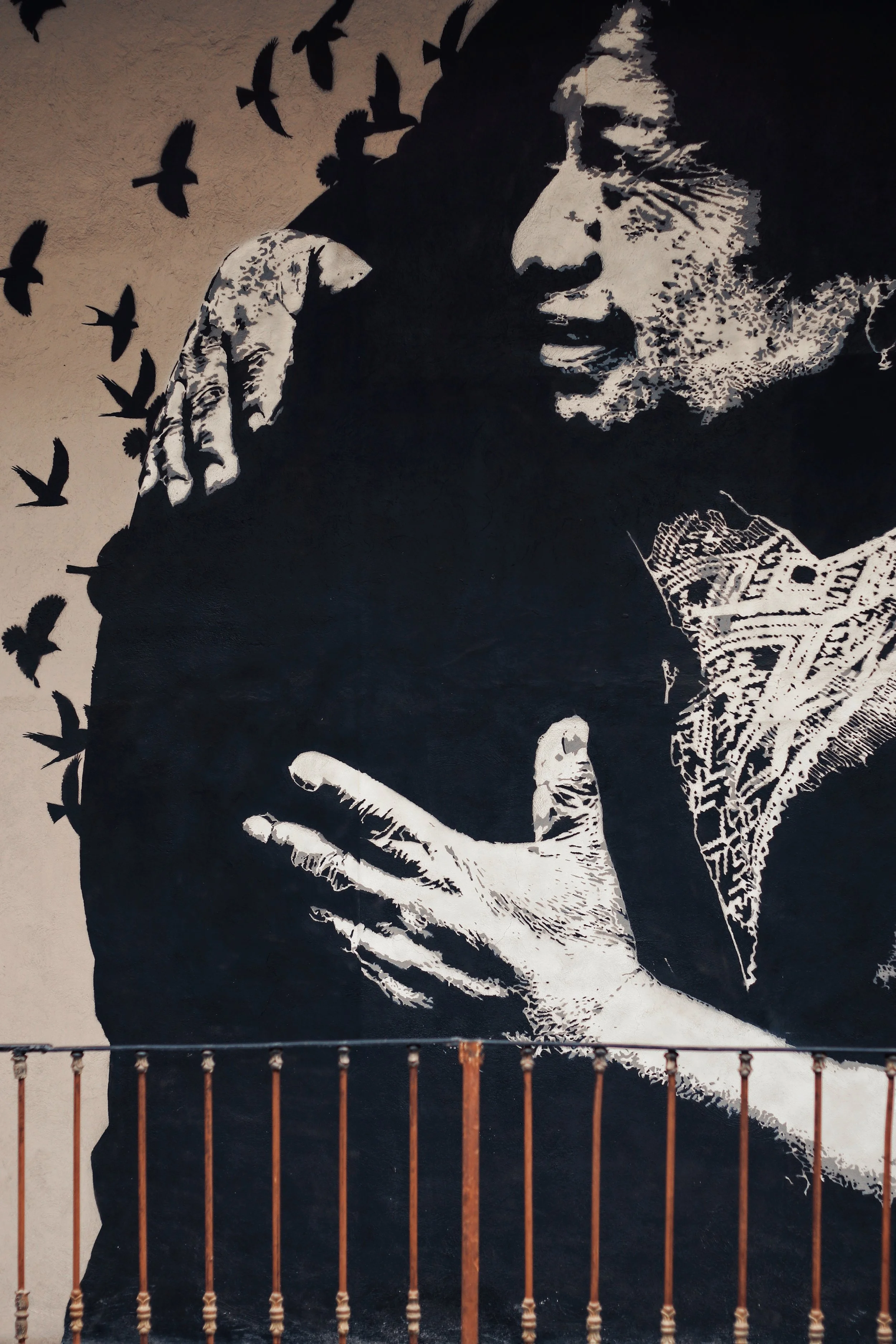 FullSizeRender_VSCO 8.JPG