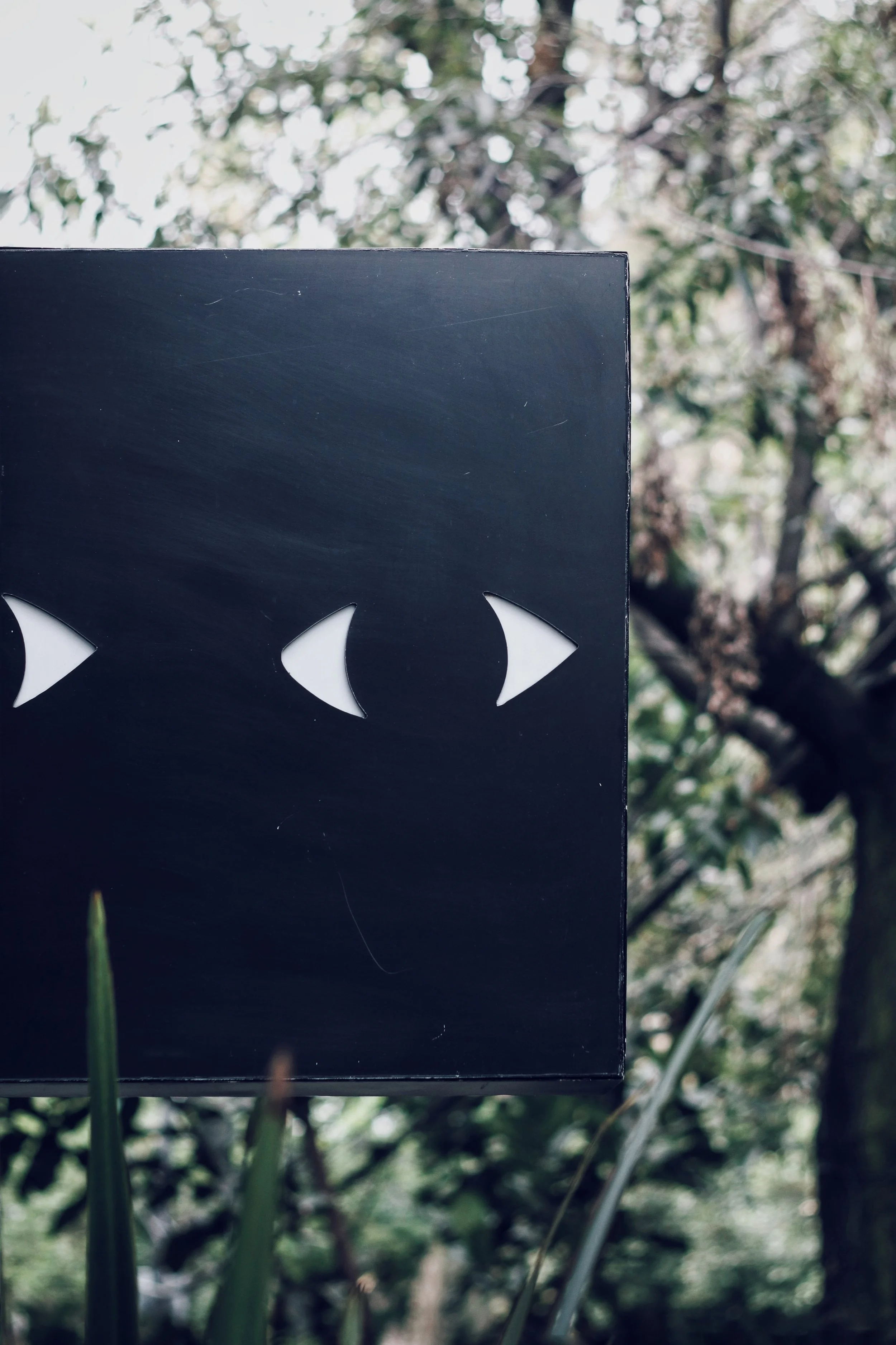 FullSizeRender_VSCO 13.JPG