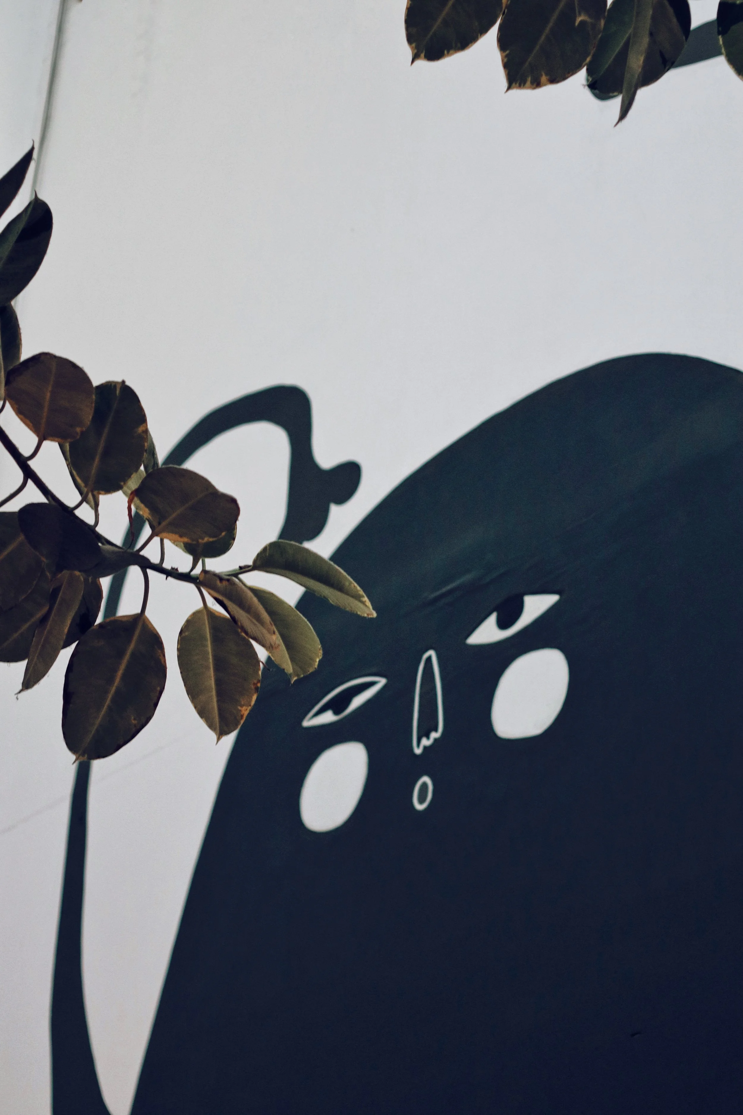 FullSizeRender_VSCO 14.JPG