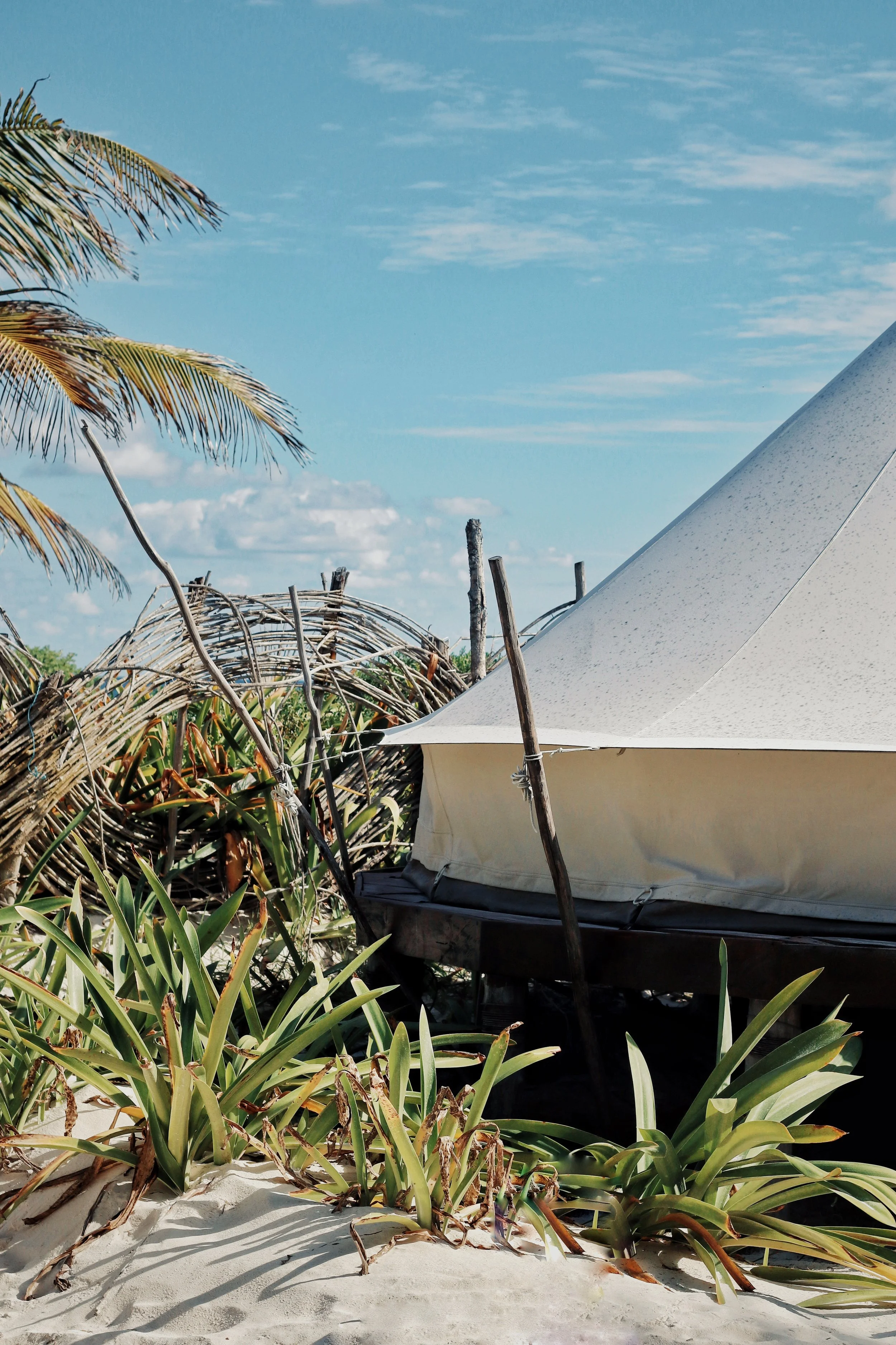 FullSizeRender_VSCO 21.JPG