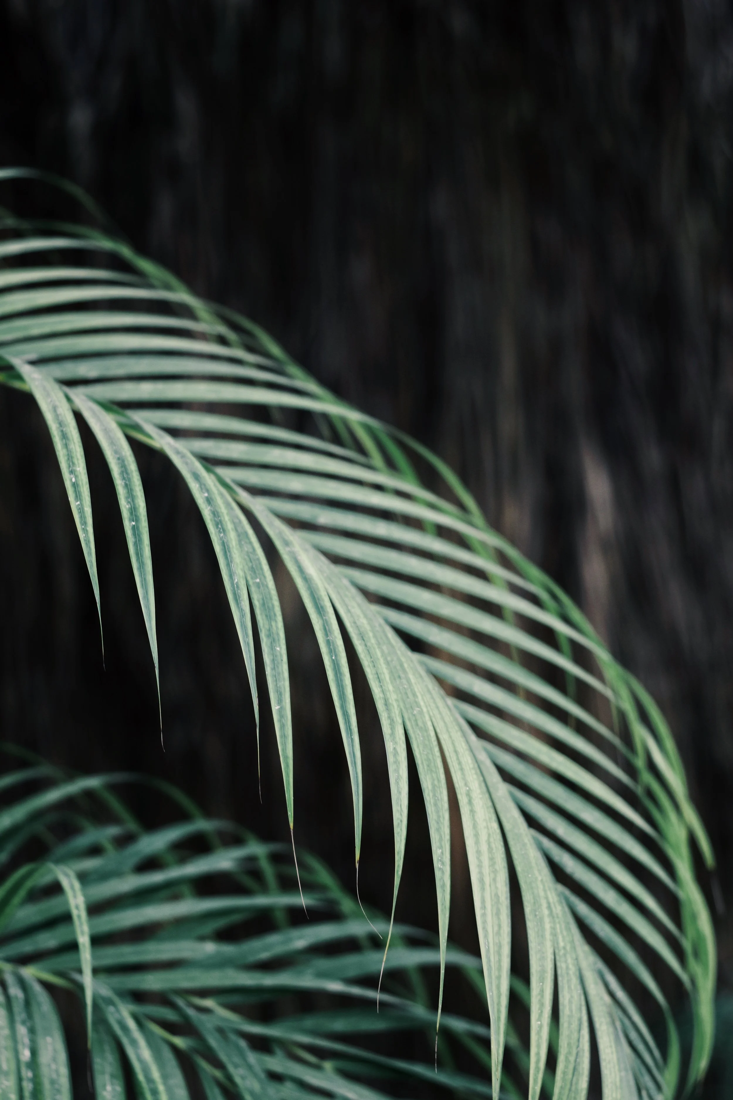 FullSizeRender_VSCO 23.JPG