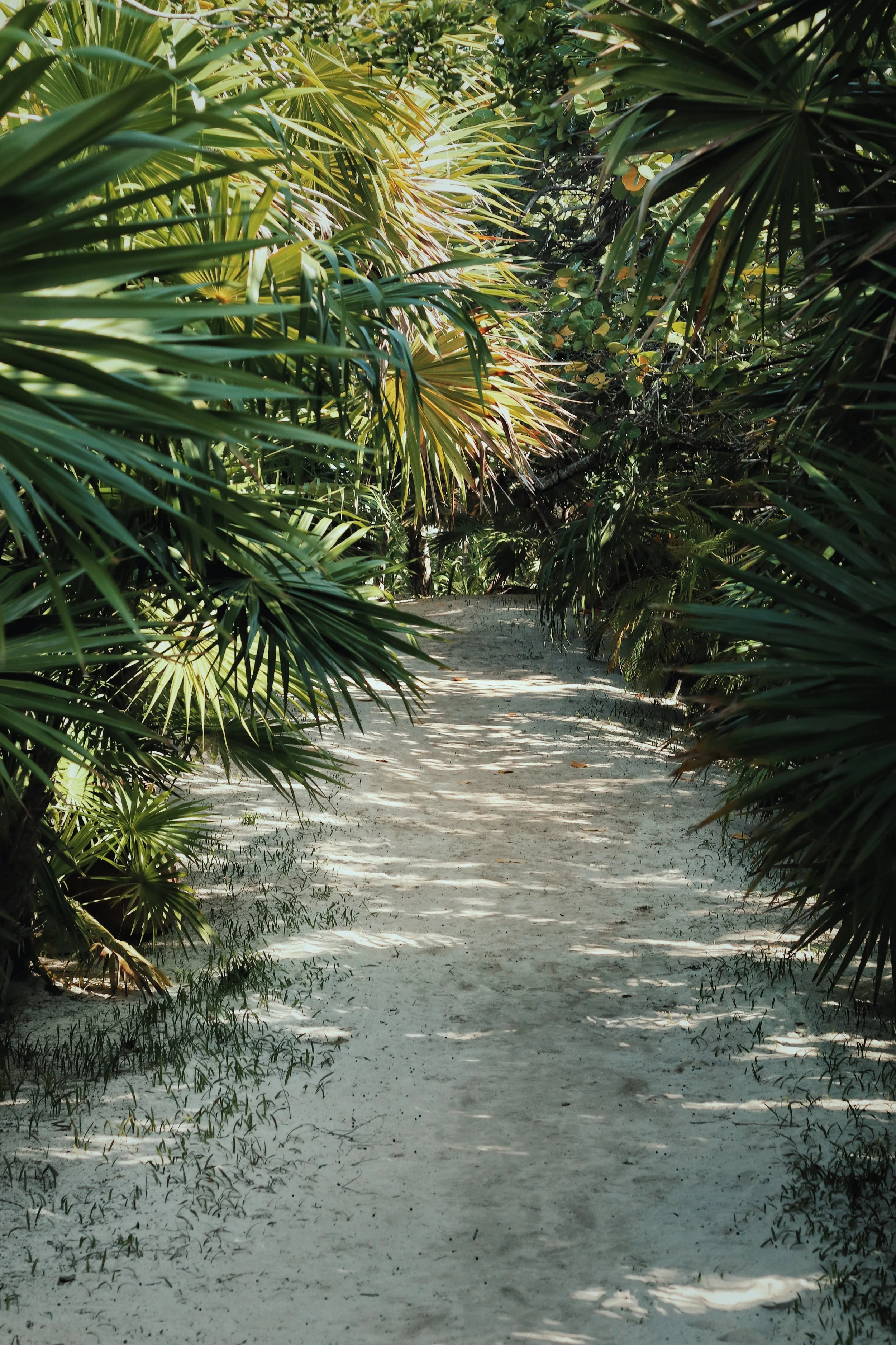 FullSizeRender_VSCO 25.JPG