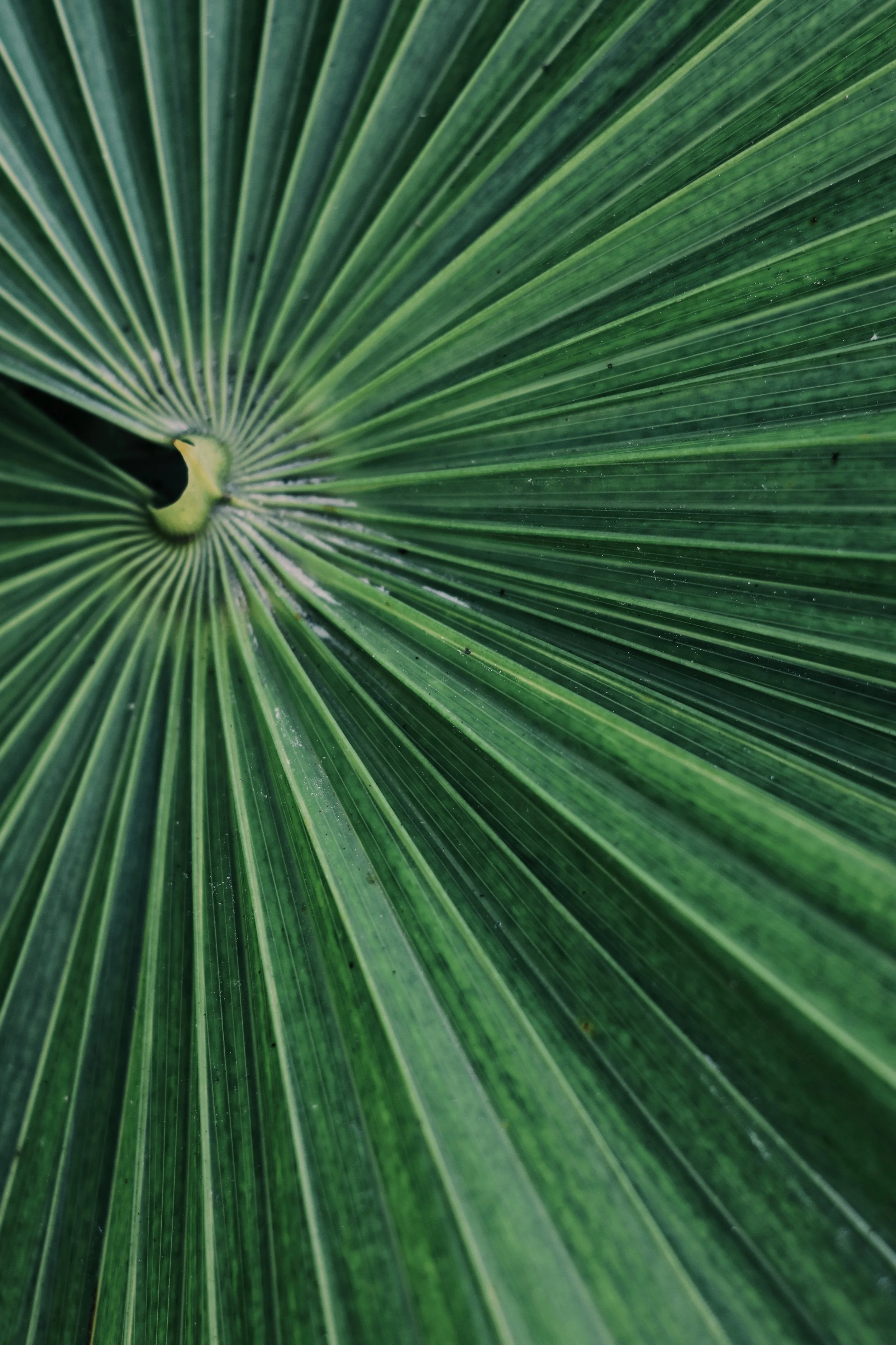 FullSizeRender_VSCO 26.JPG