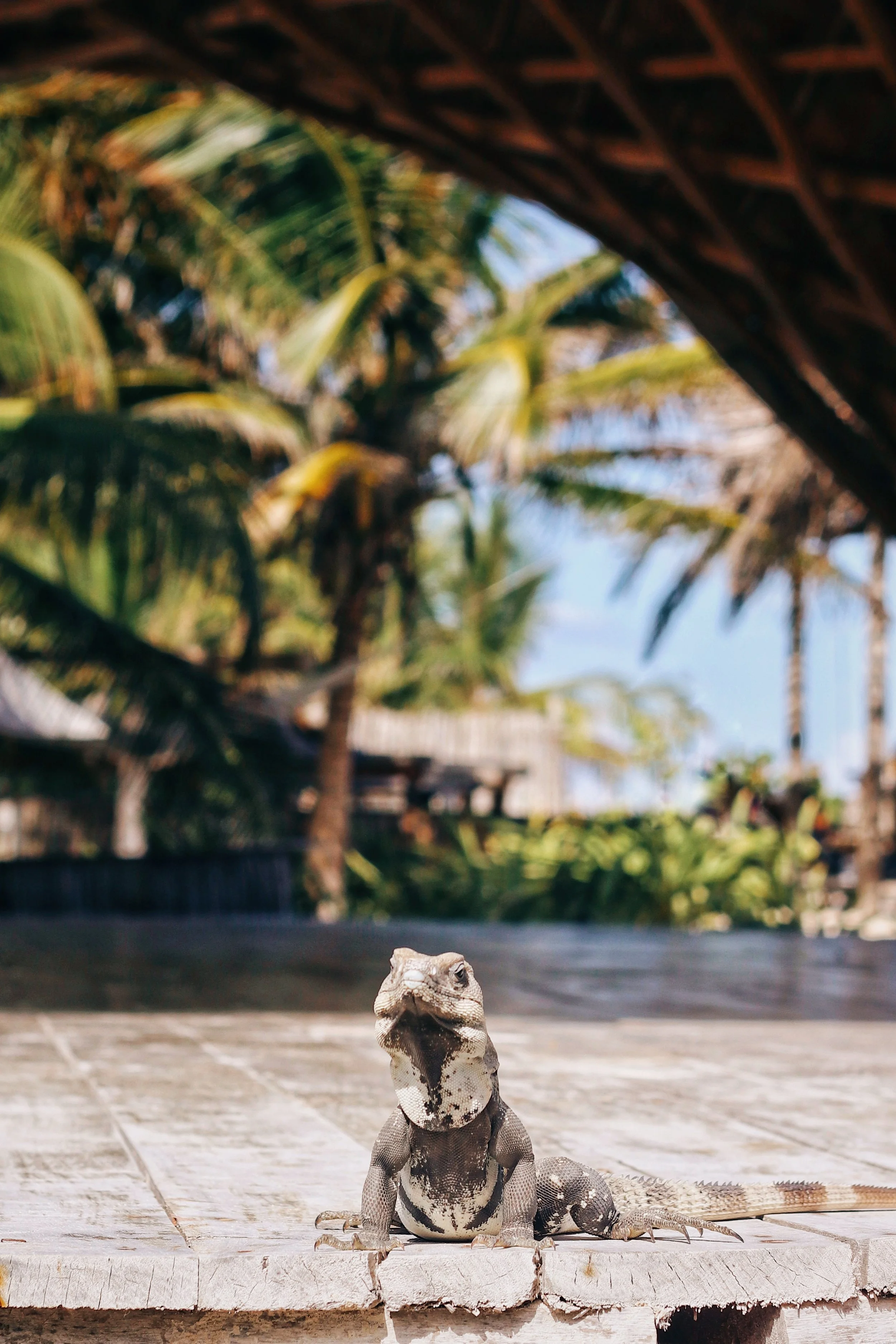 FullSizeRender_VSCO 35.JPG