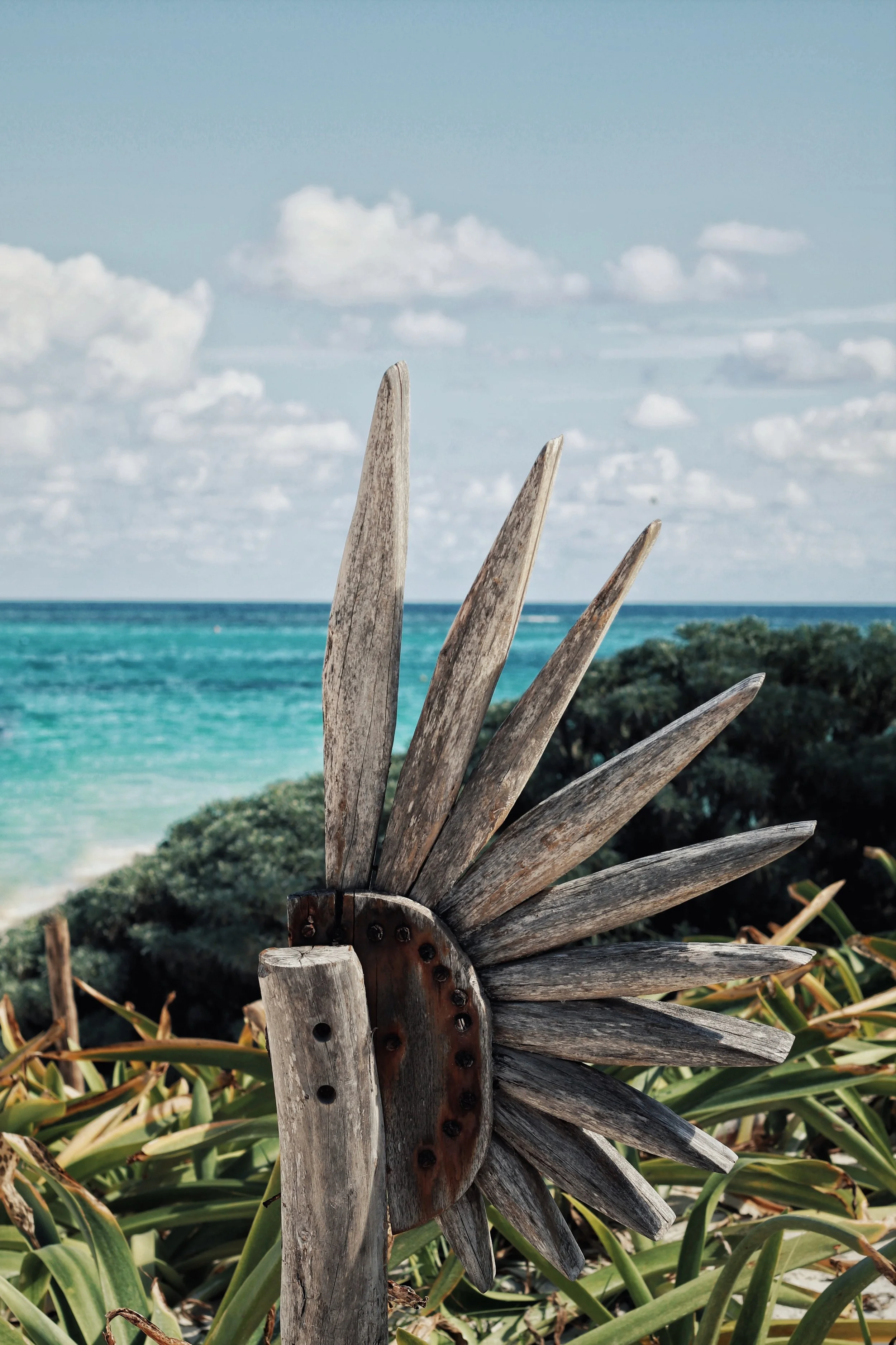 FullSizeRender_VSCO 36.JPG