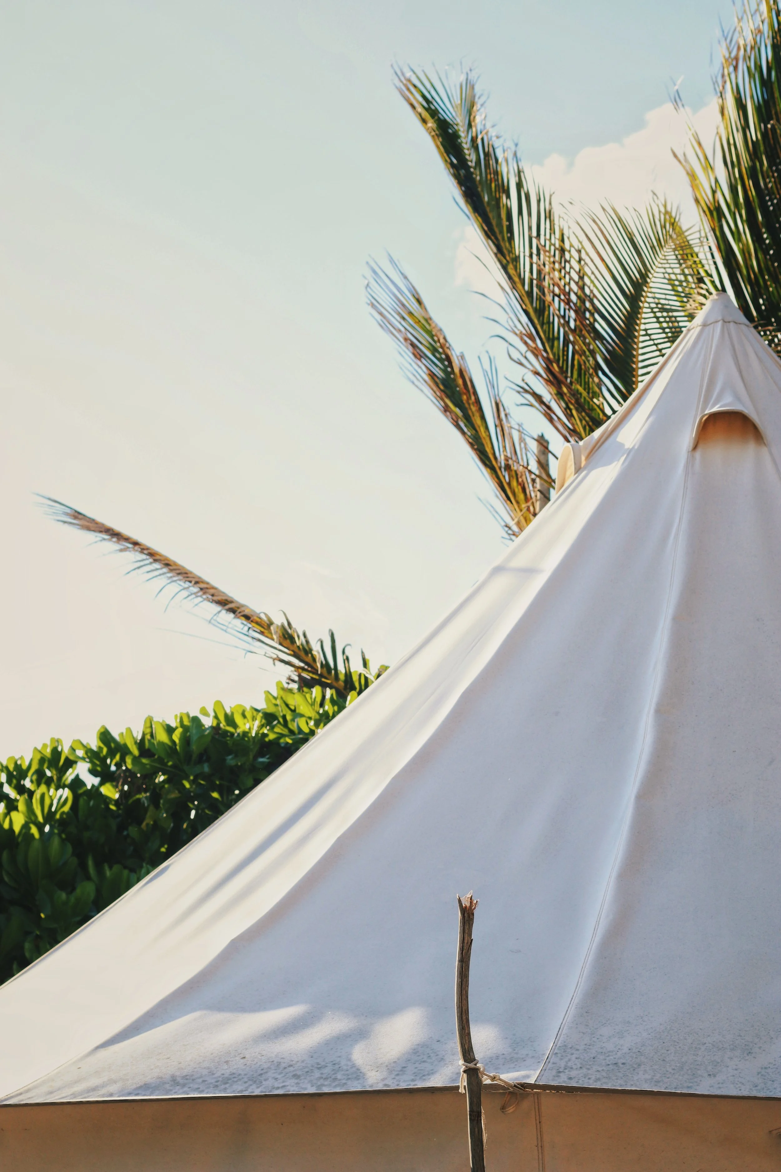 FullSizeRender_VSCO 43.JPG