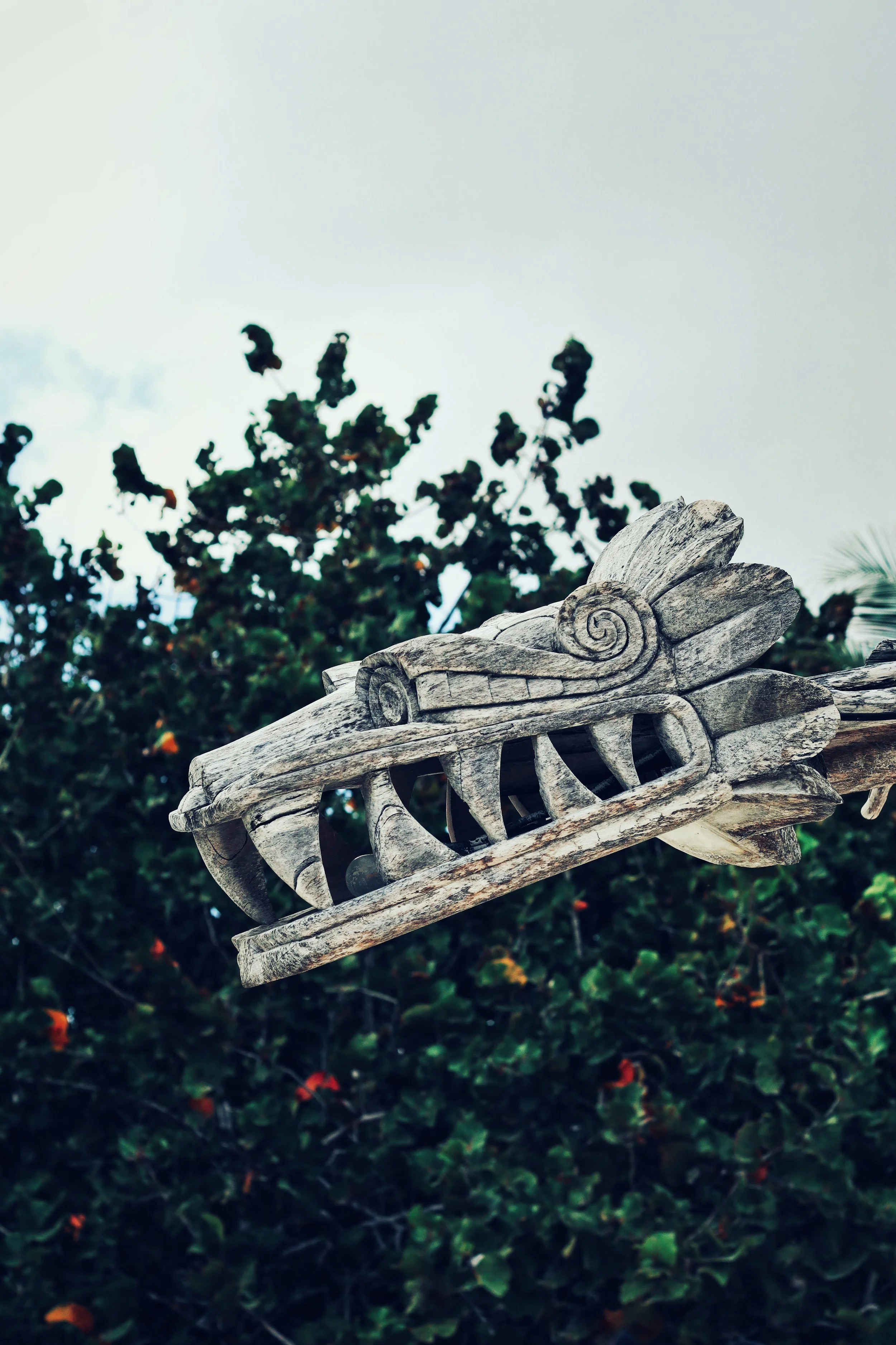 FullSizeRender_VSCO 46.JPG