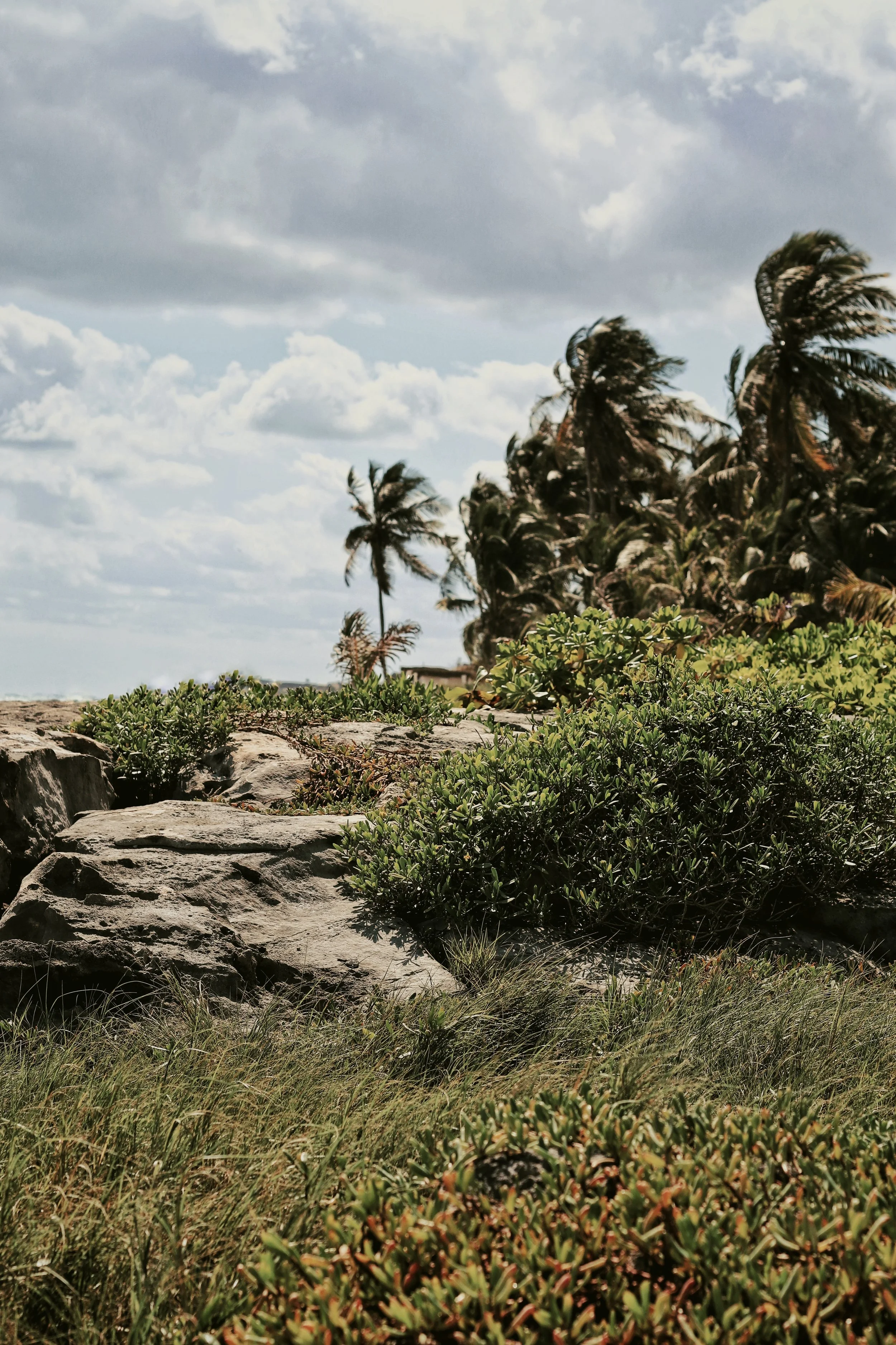 FullSizeRender_VSCO 45.JPG