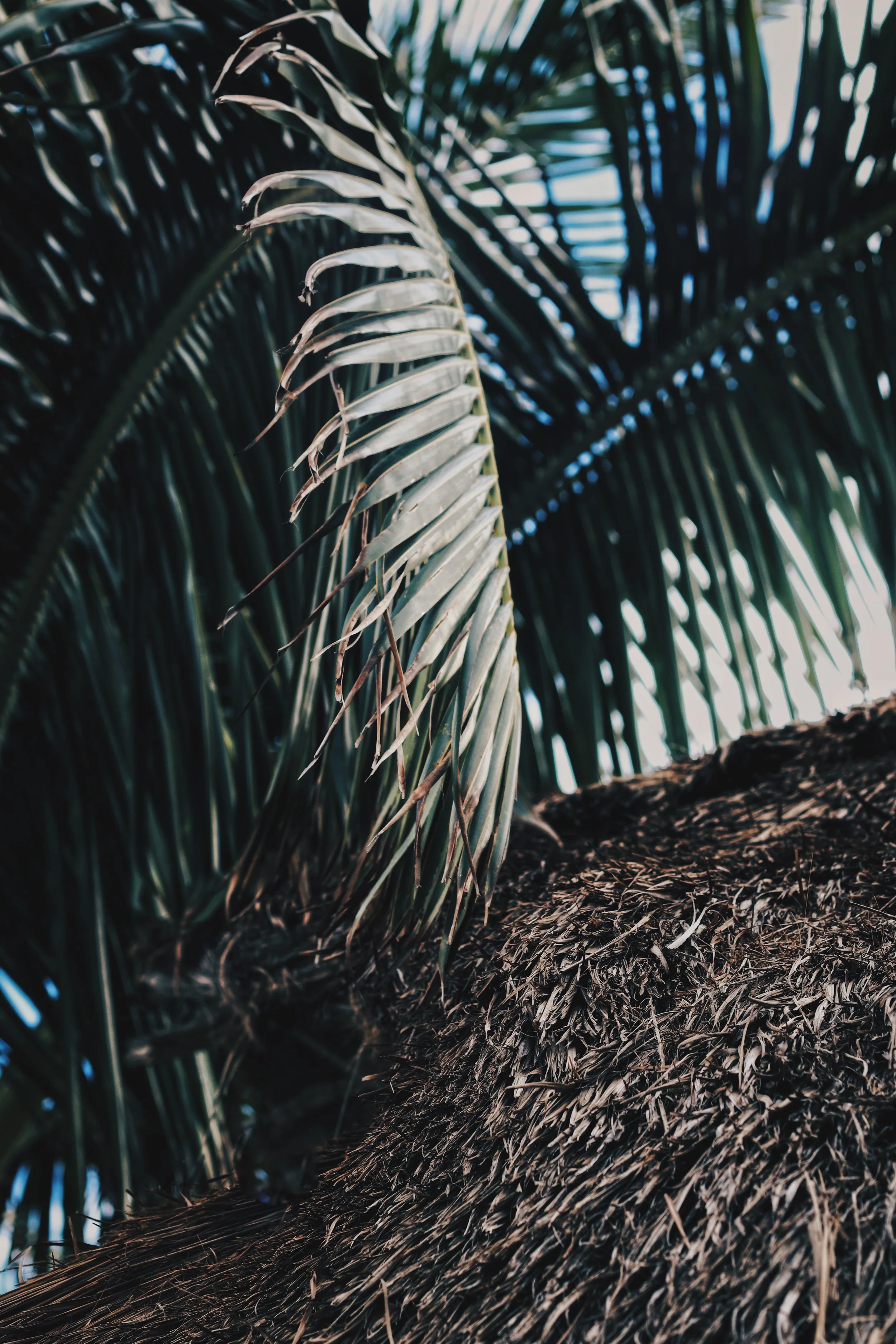 FullSizeRender_VSCO 49.JPG