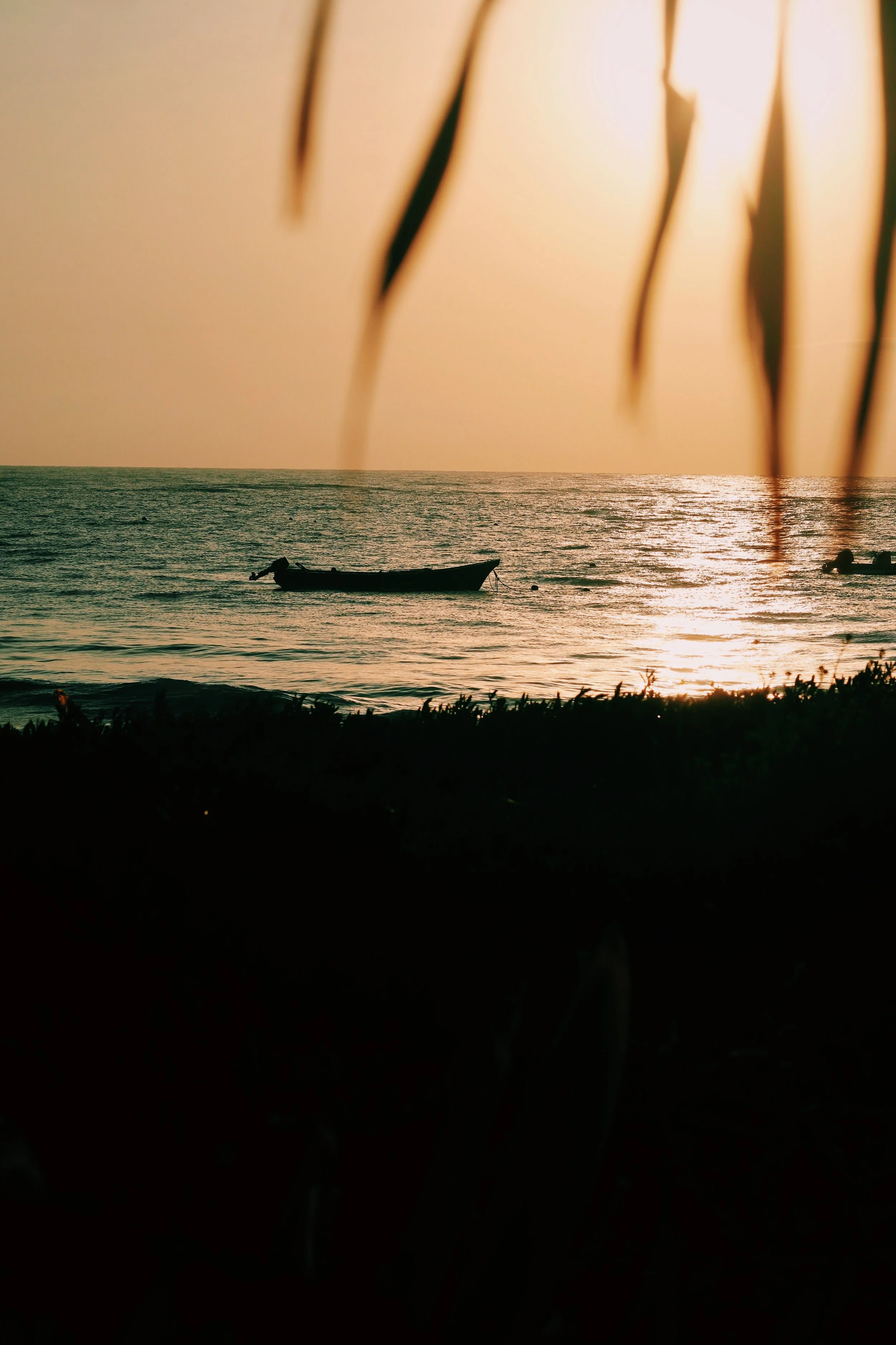 FullSizeRender_VSCO 13.JPG