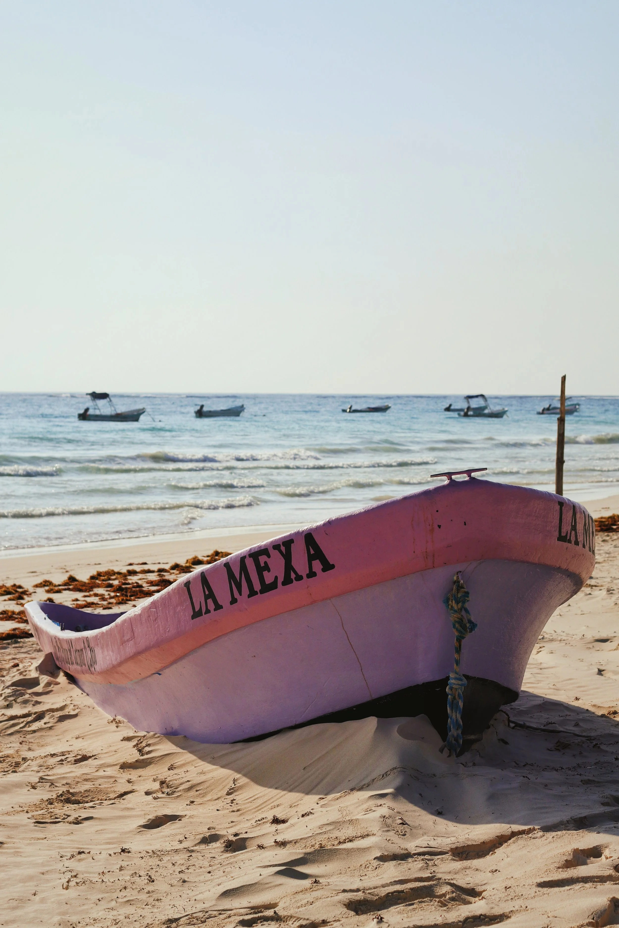 FullSizeRender_VSCO 19.JPG