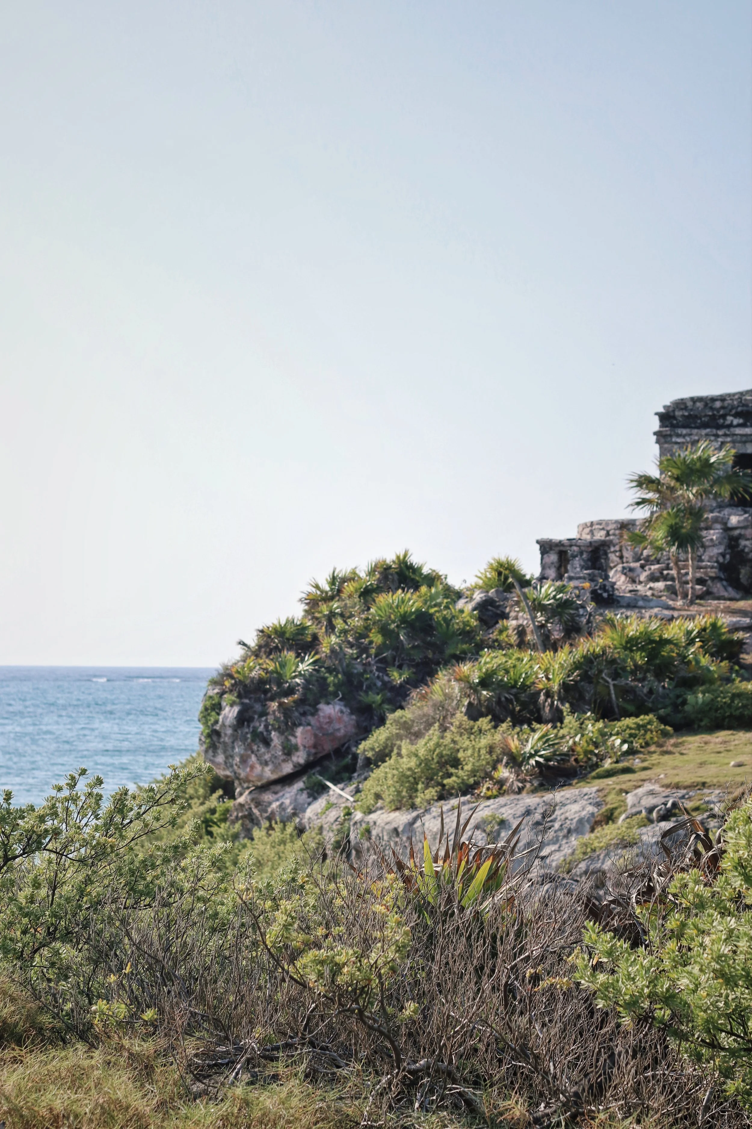 FullSizeRender_VSCO 20.JPG