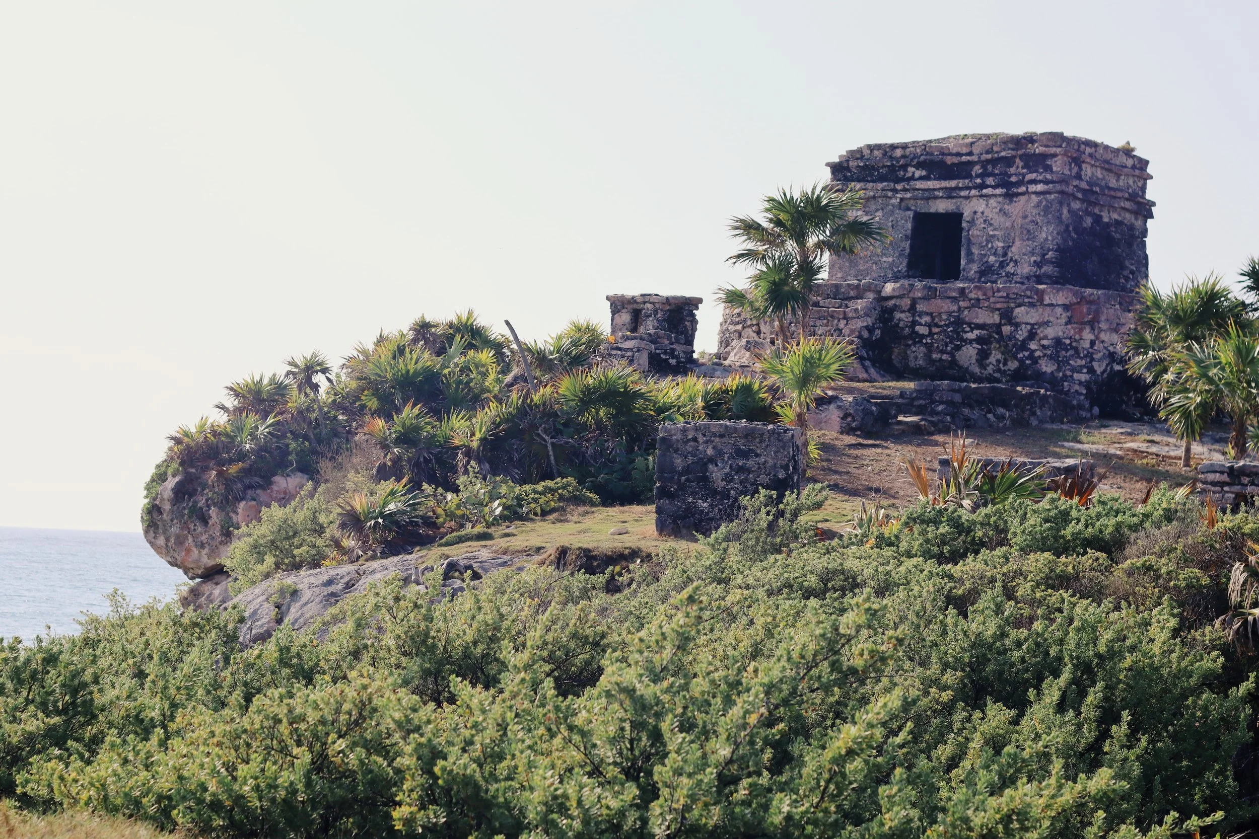 FullSizeRender_VSCO 21.JPG