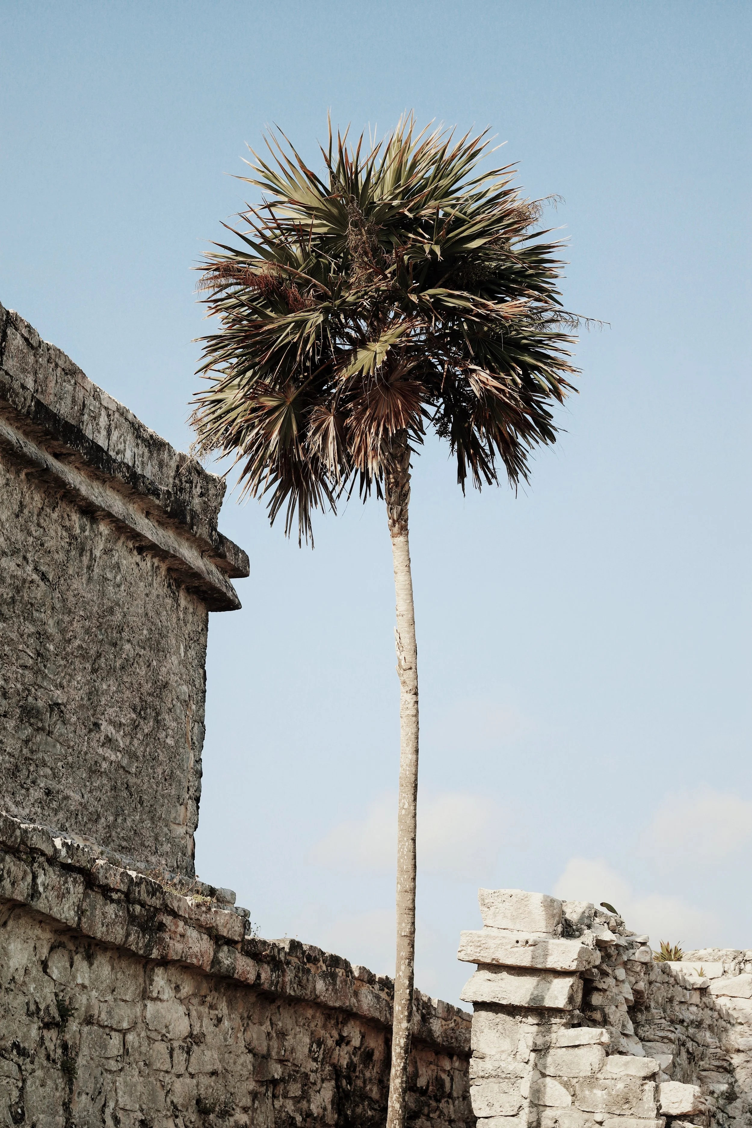 FullSizeRender_VSCO 22.JPG