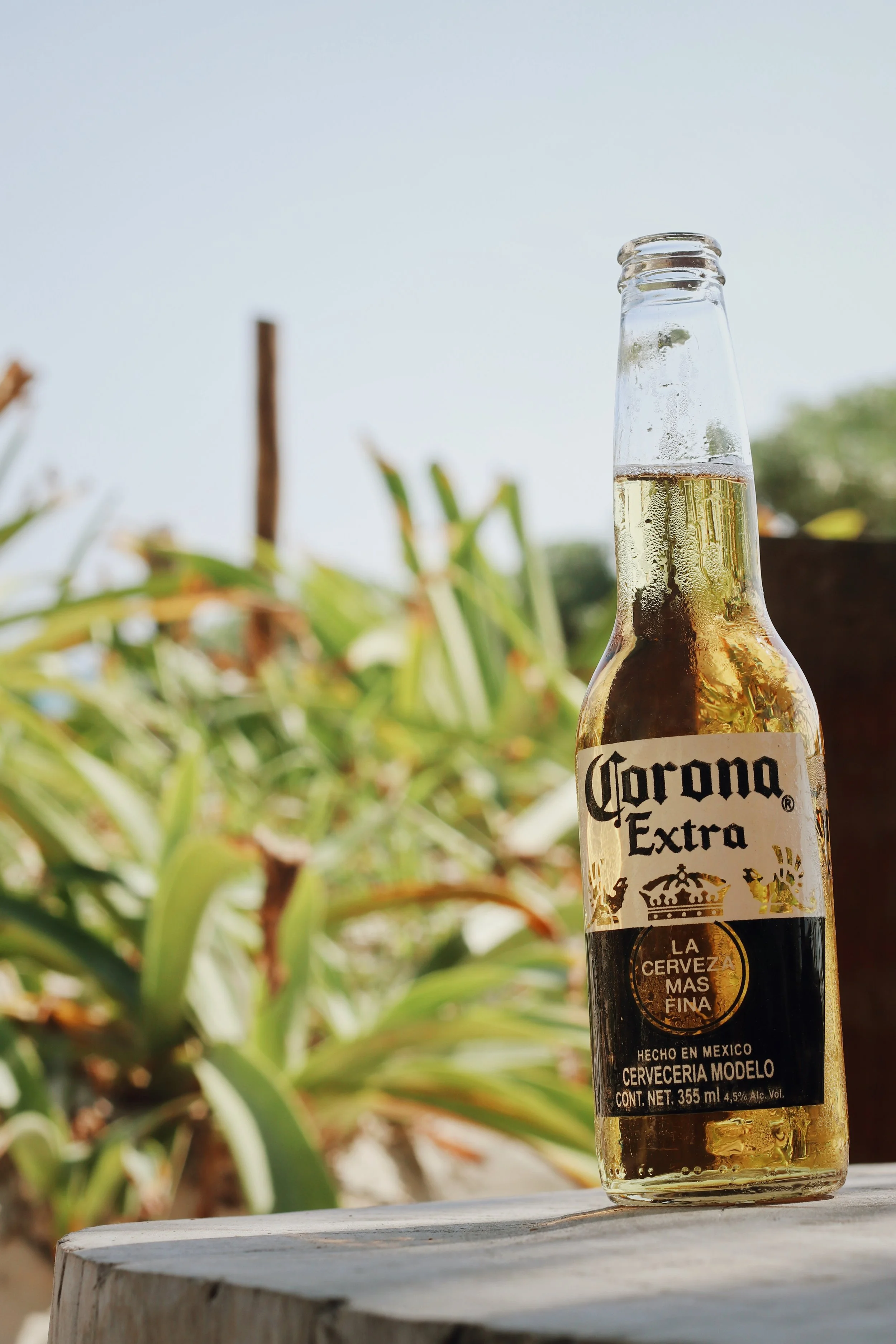 FullSizeRender_VSCO 25.JPG