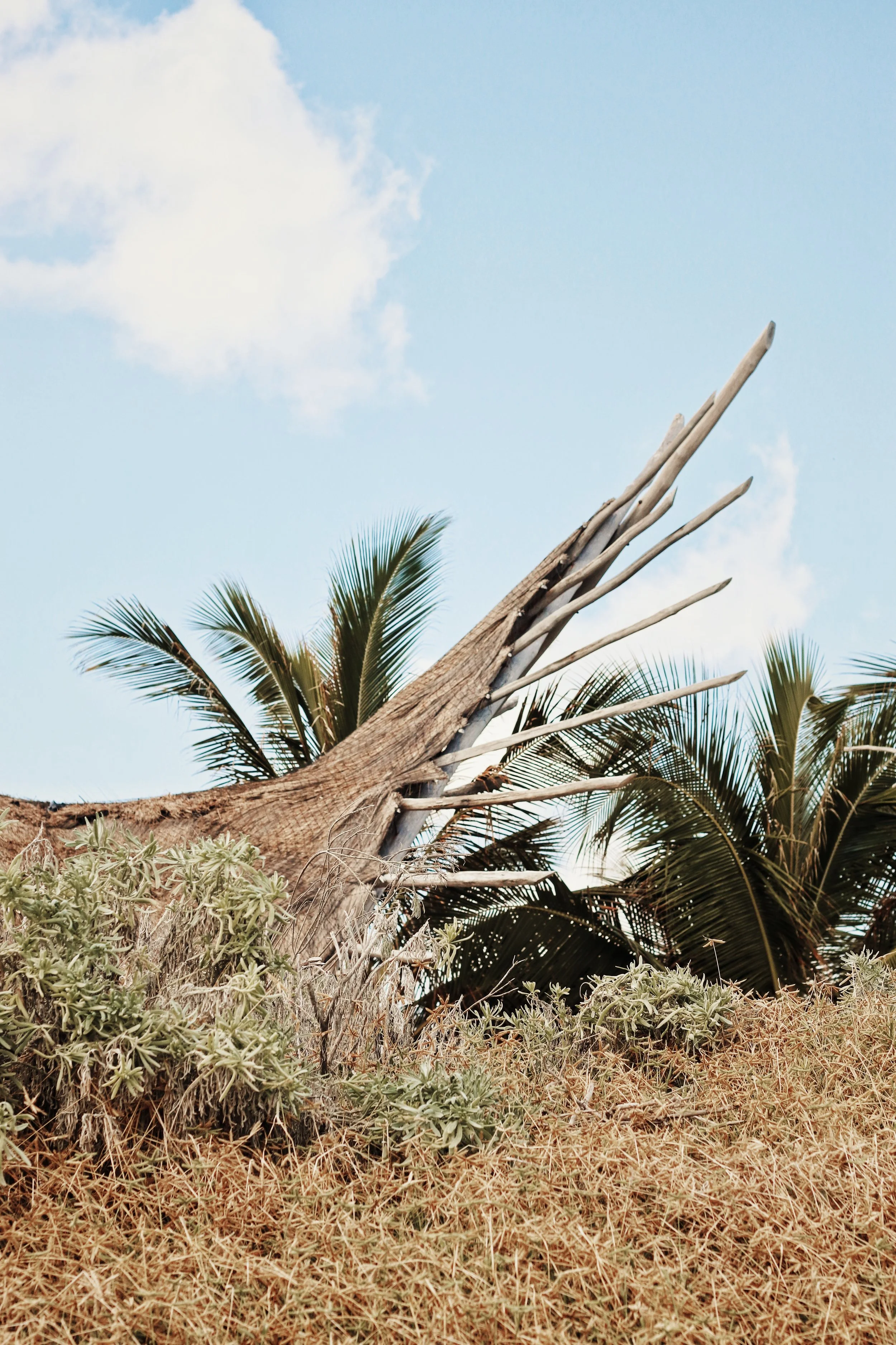 FullSizeRender_VSCO 27.JPG