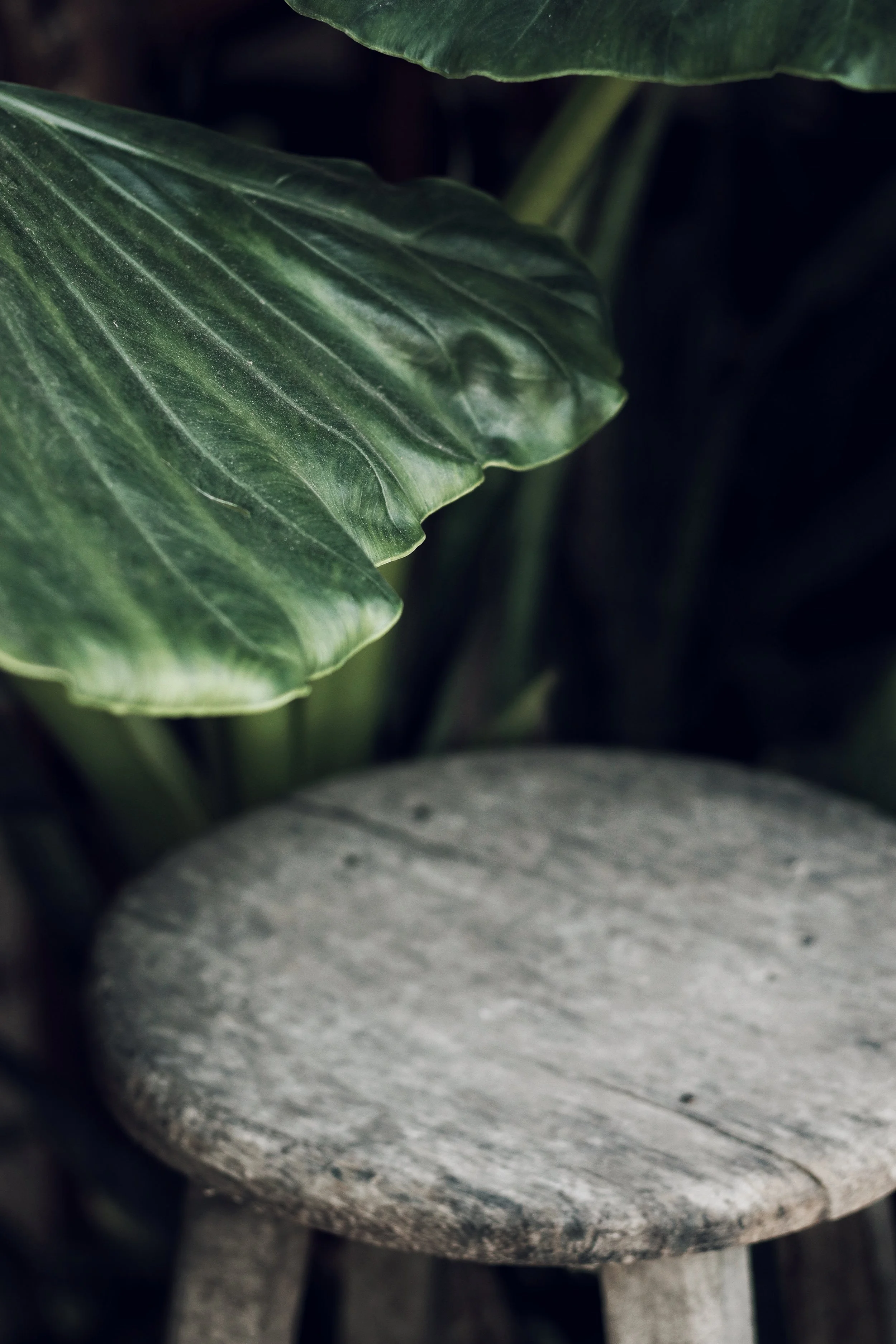 FullSizeRender_VSCO 32.JPG