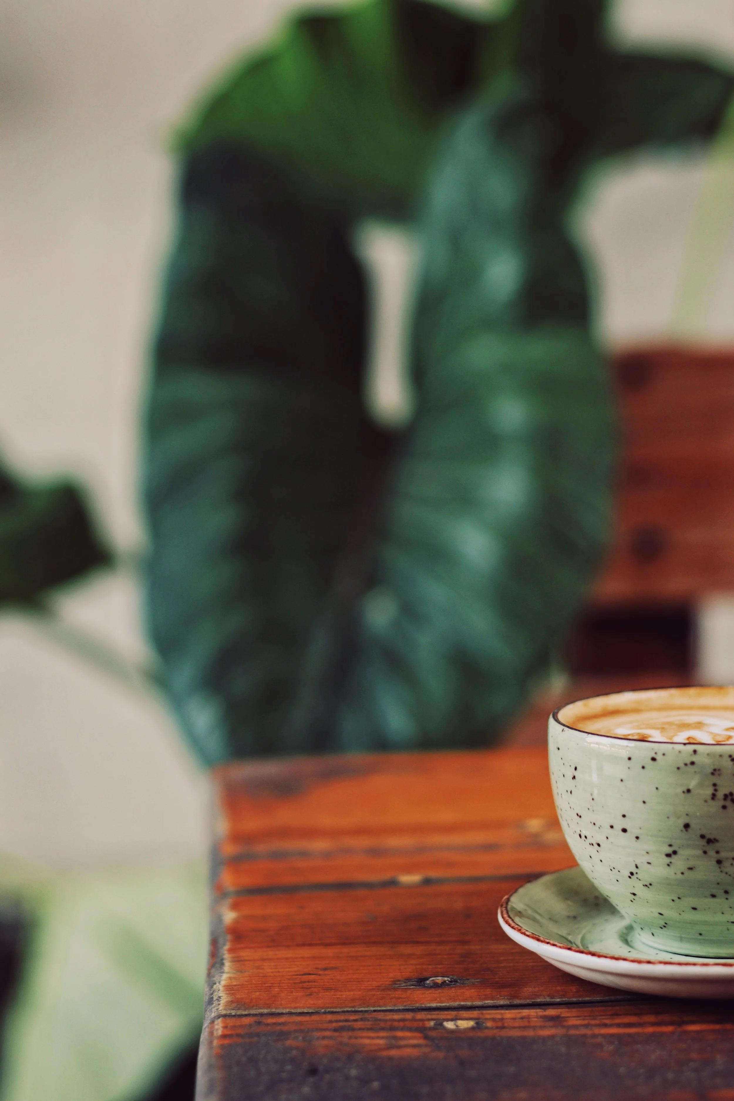 FullSizeRender_VSCO 35.JPG