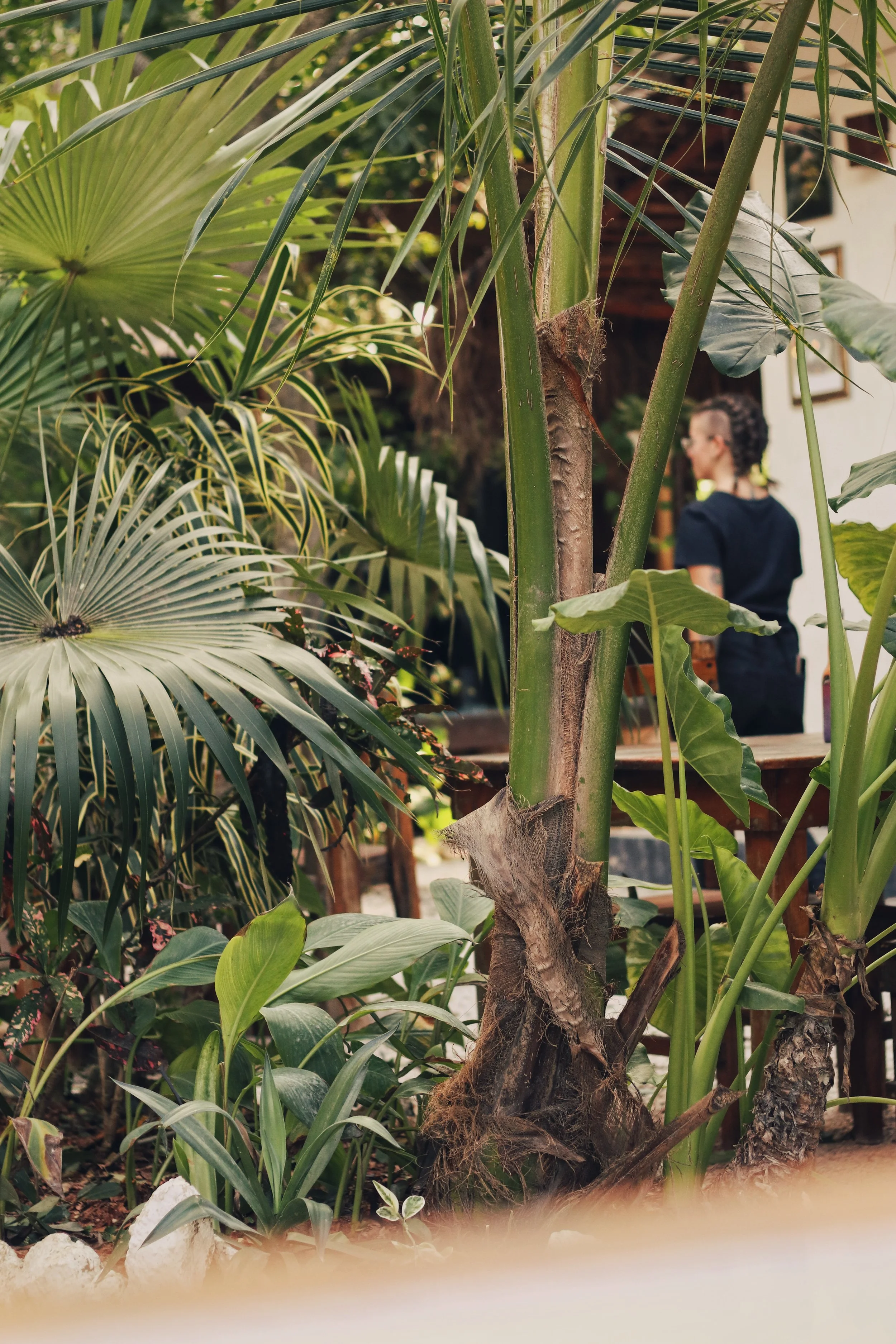 FullSizeRender_VSCO 37.JPG