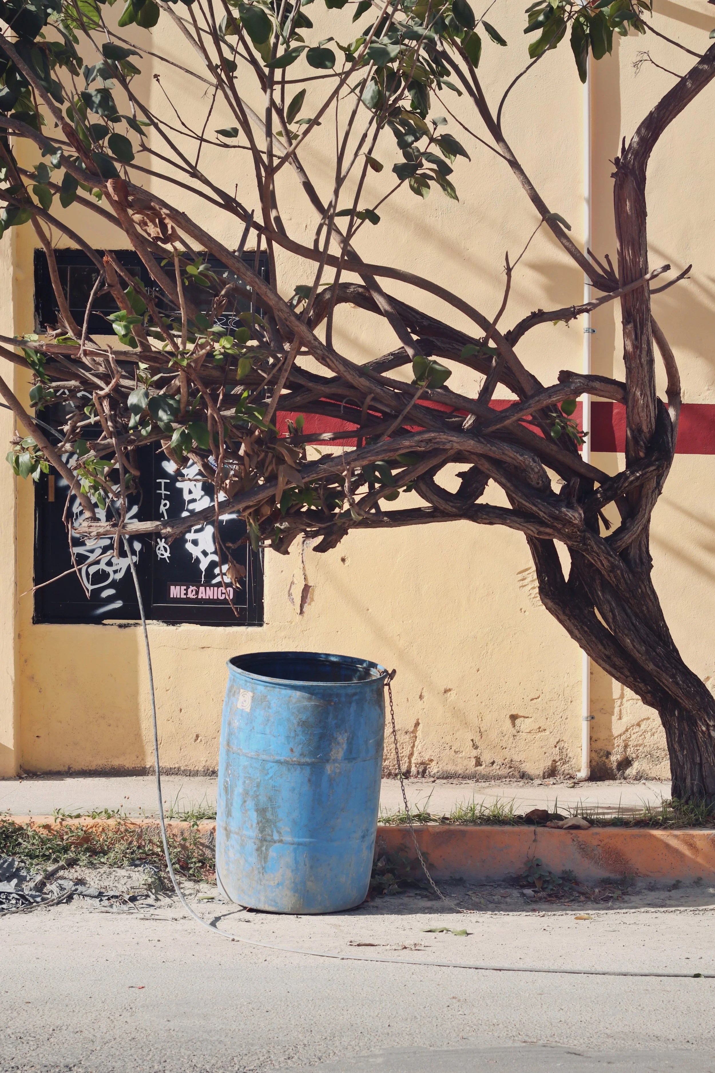 FullSizeRender_VSCO 41.JPG