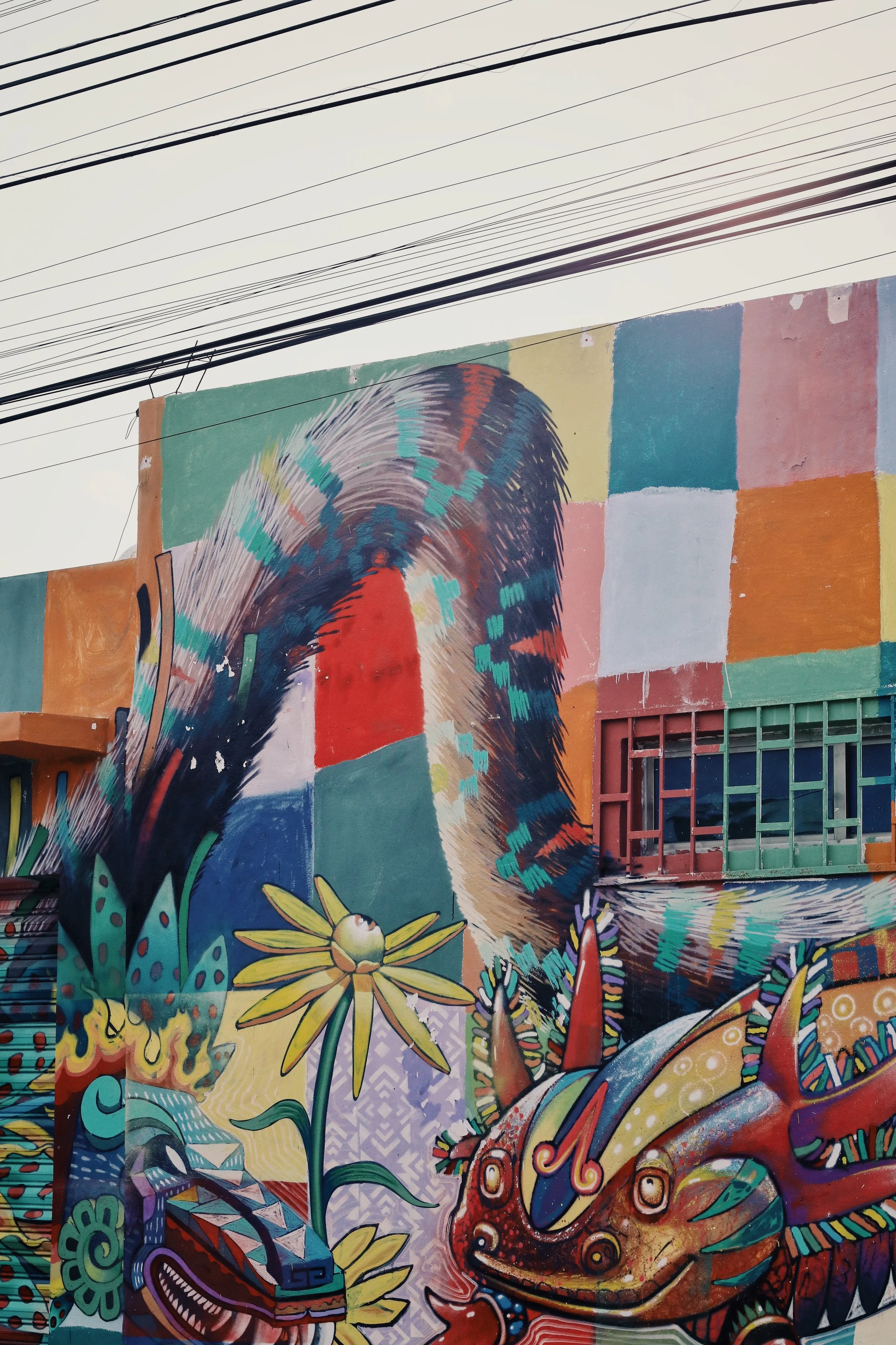 FullSizeRender_VSCO 45.JPG