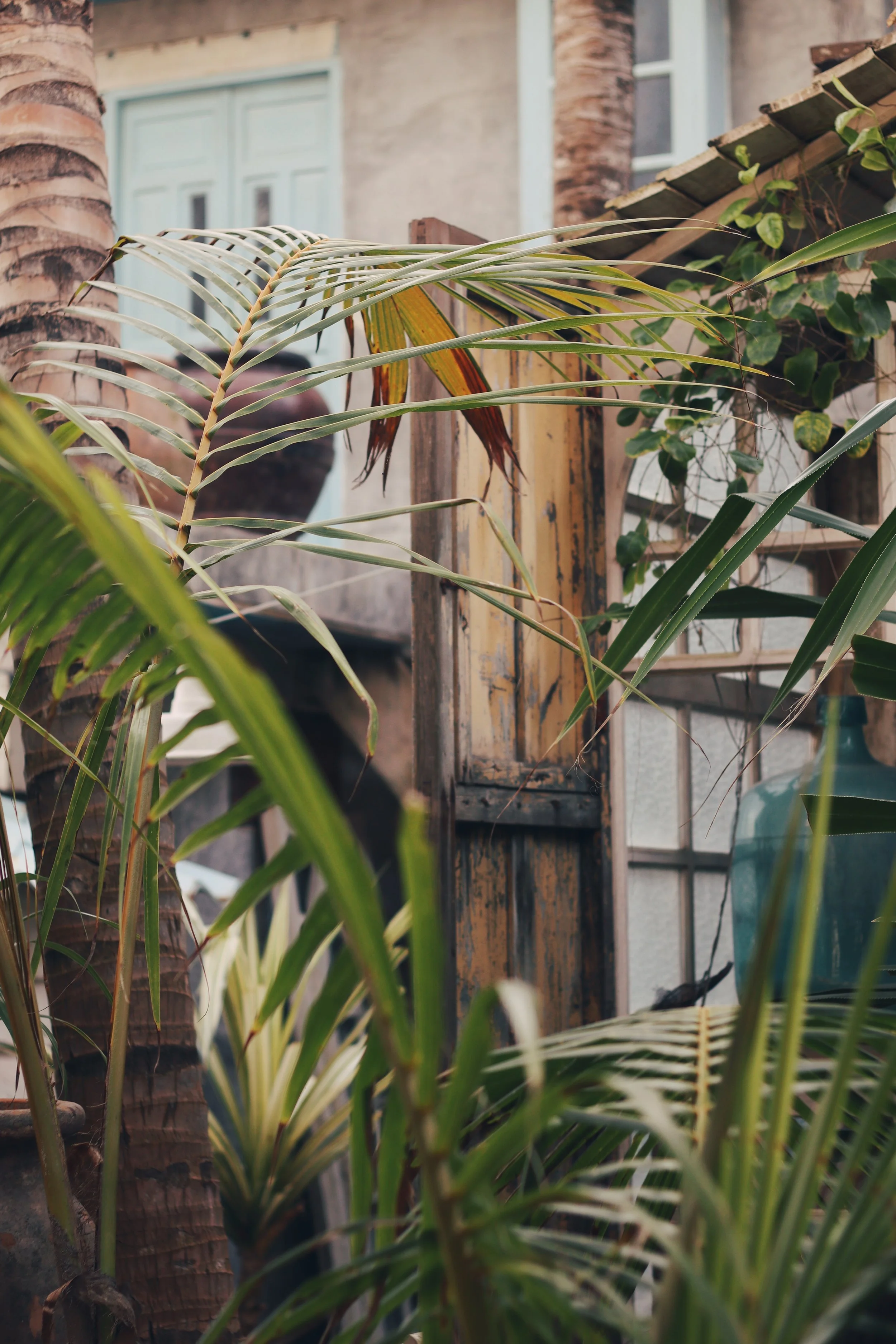 FullSizeRender_VSCO 47.JPG