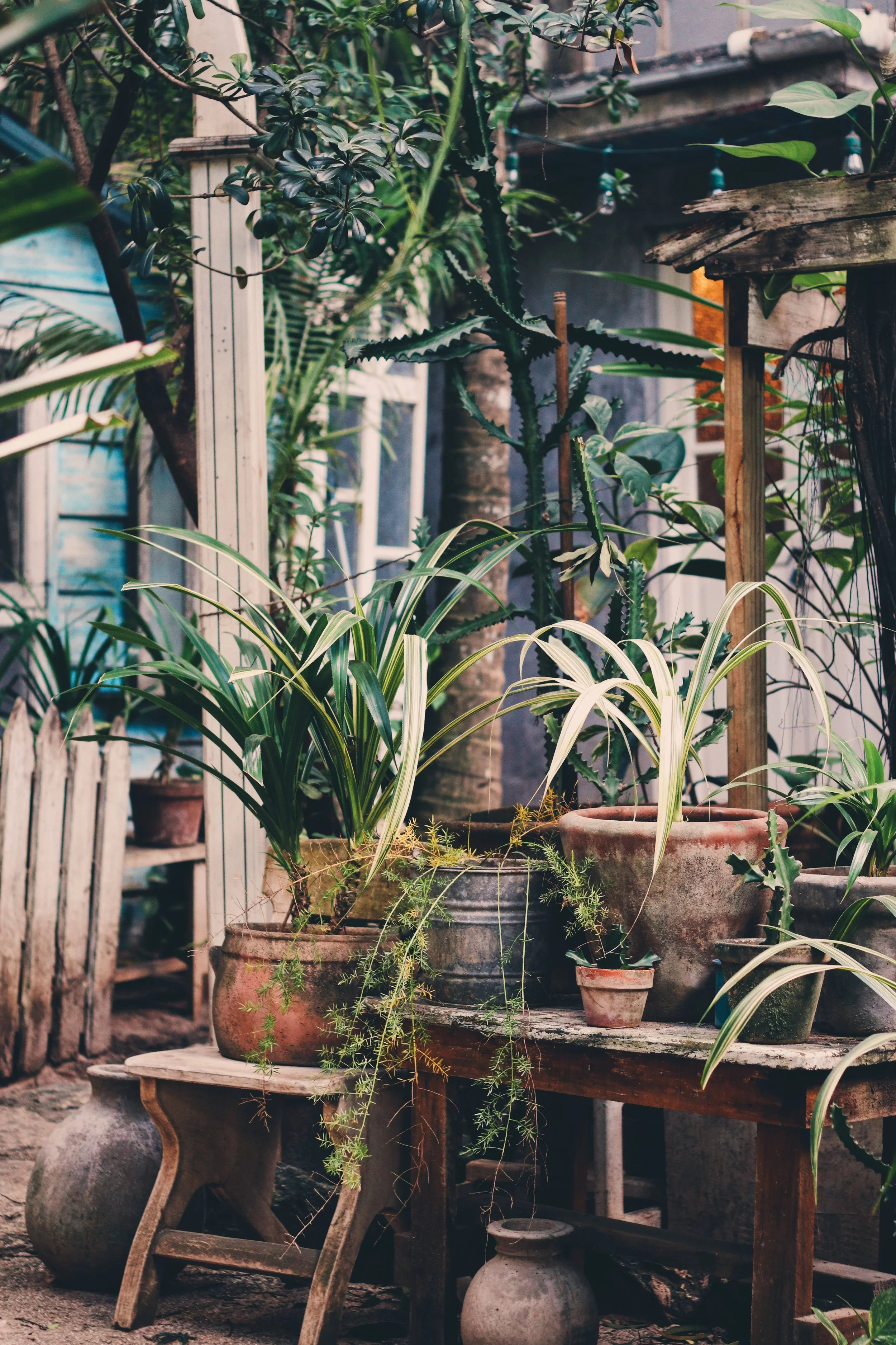 FullSizeRender_VSCO 53.JPG