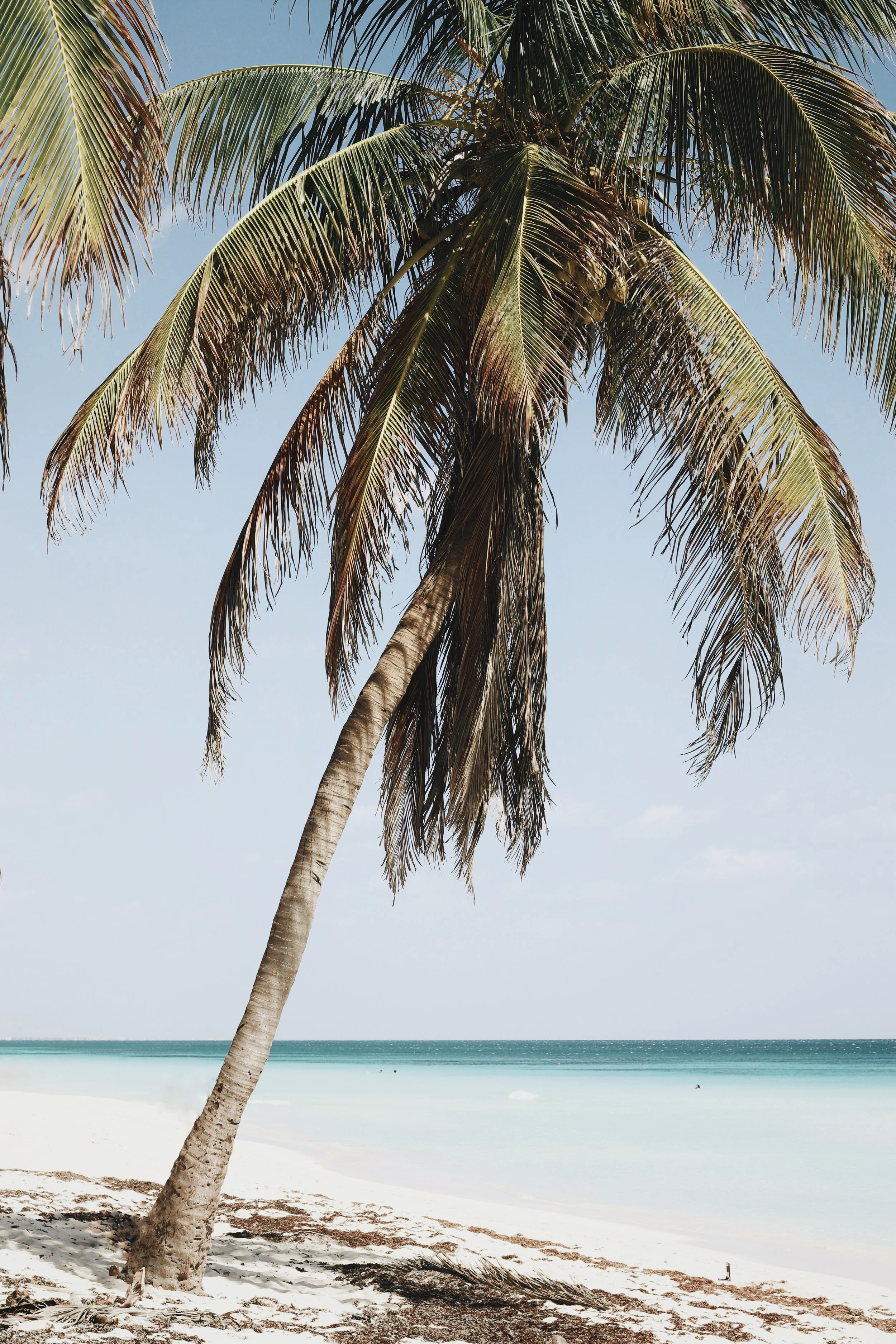 FullSizeRender_VSCO 3.JPG