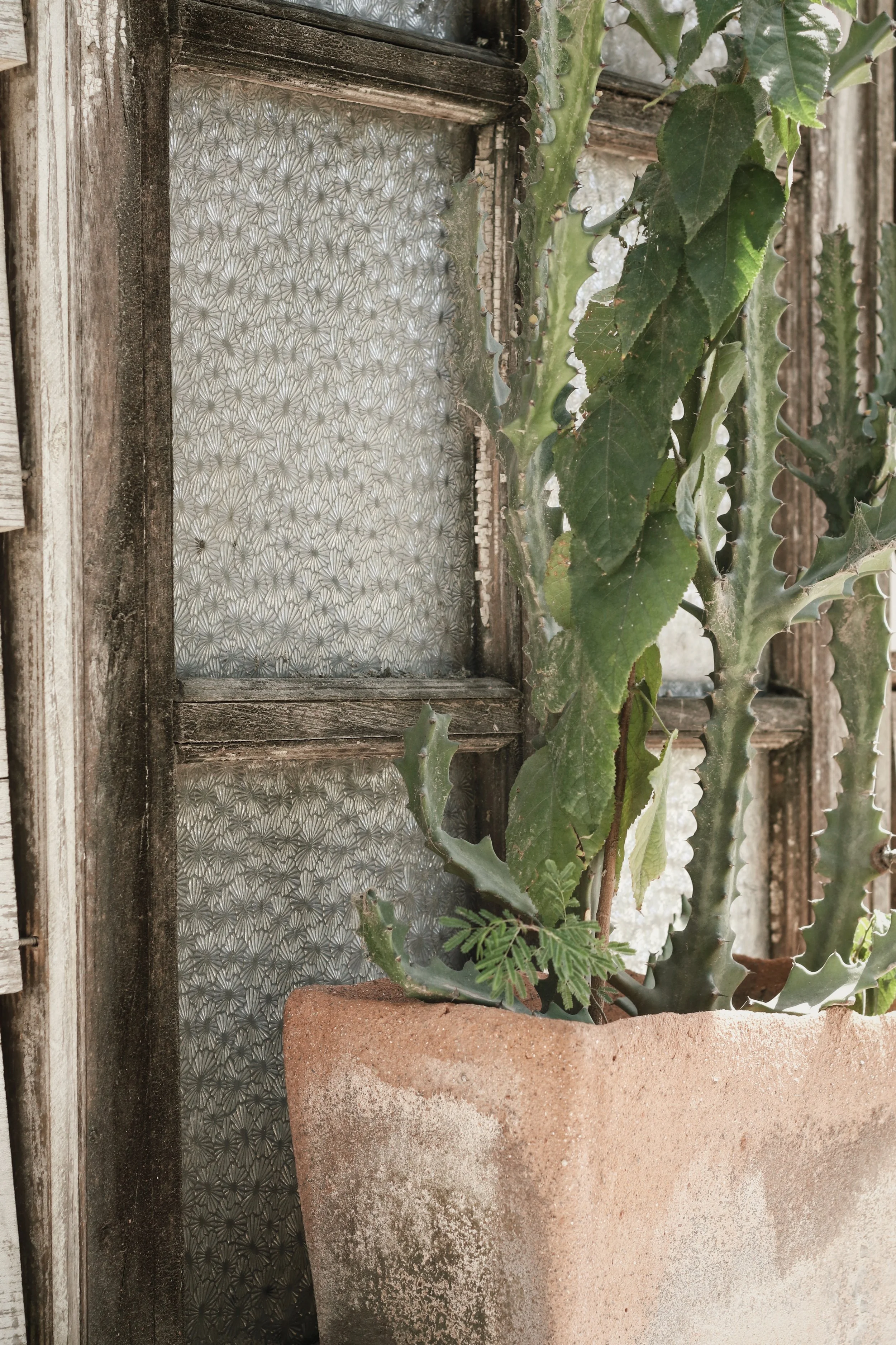 FullSizeRender_VSCO 2.JPG