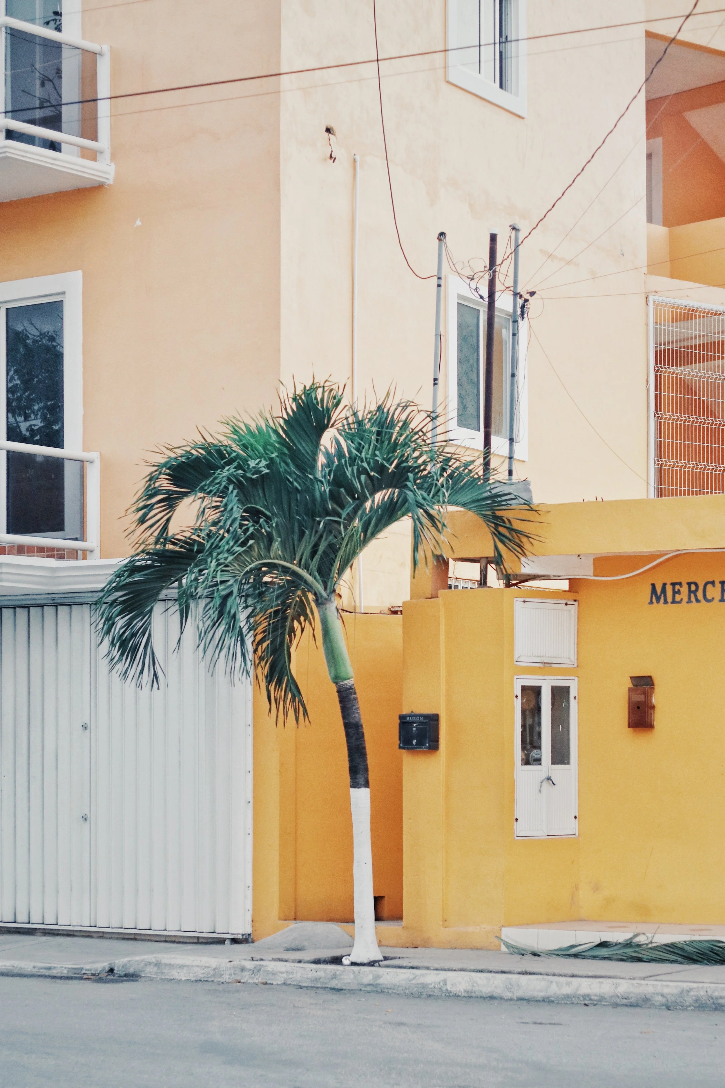 FullSizeRender_VSCO 14.JPG