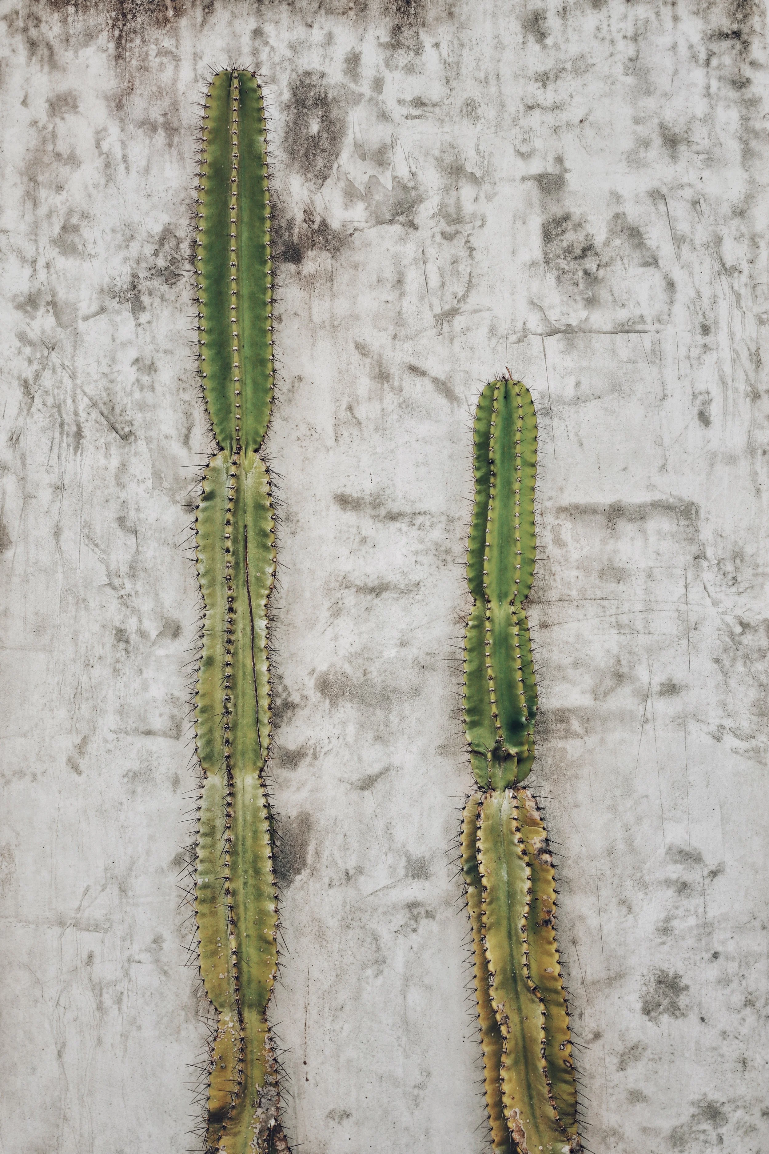 FullSizeRender_VSCO 20.JPG