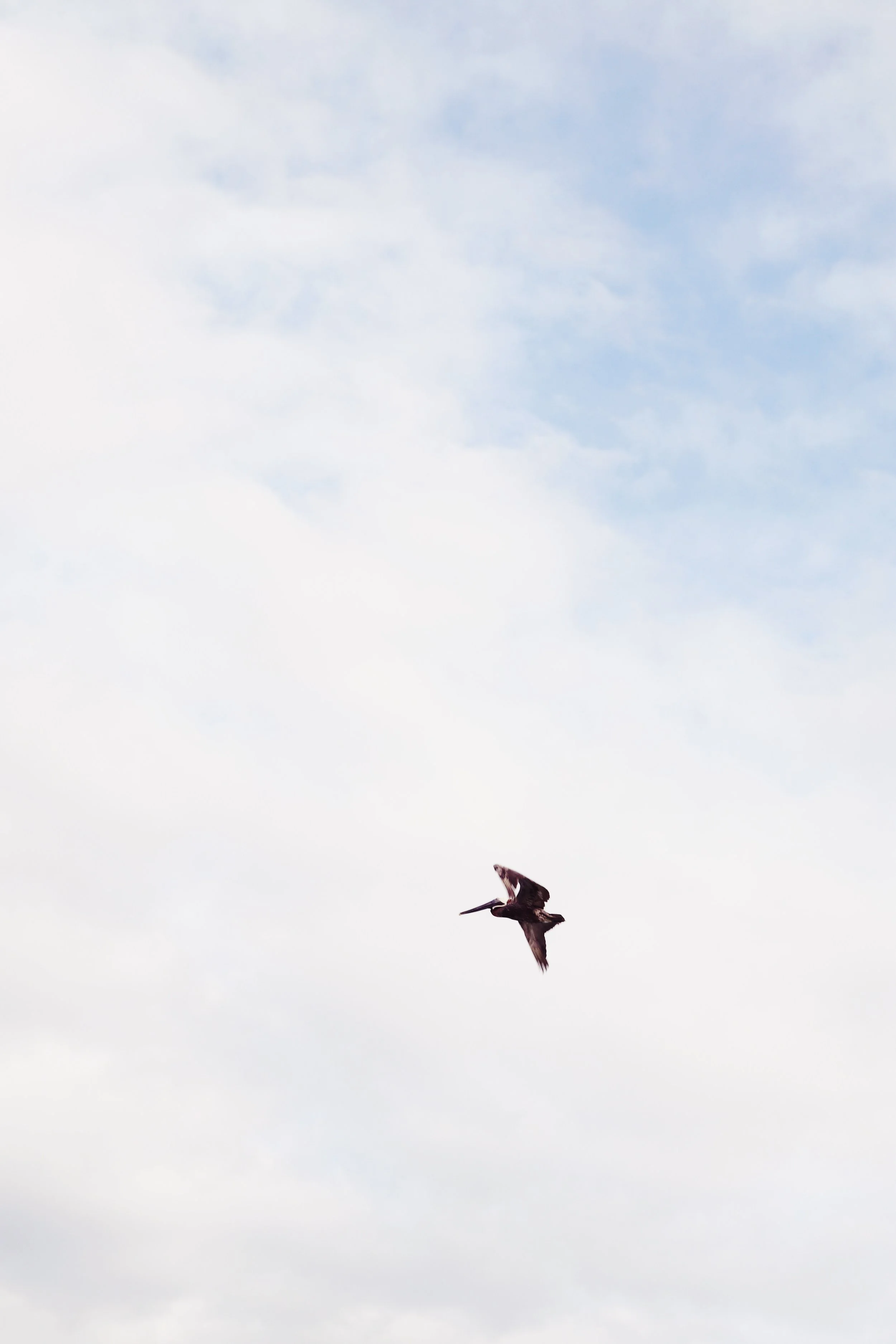 FullSizeRender_VSCO 23.JPG