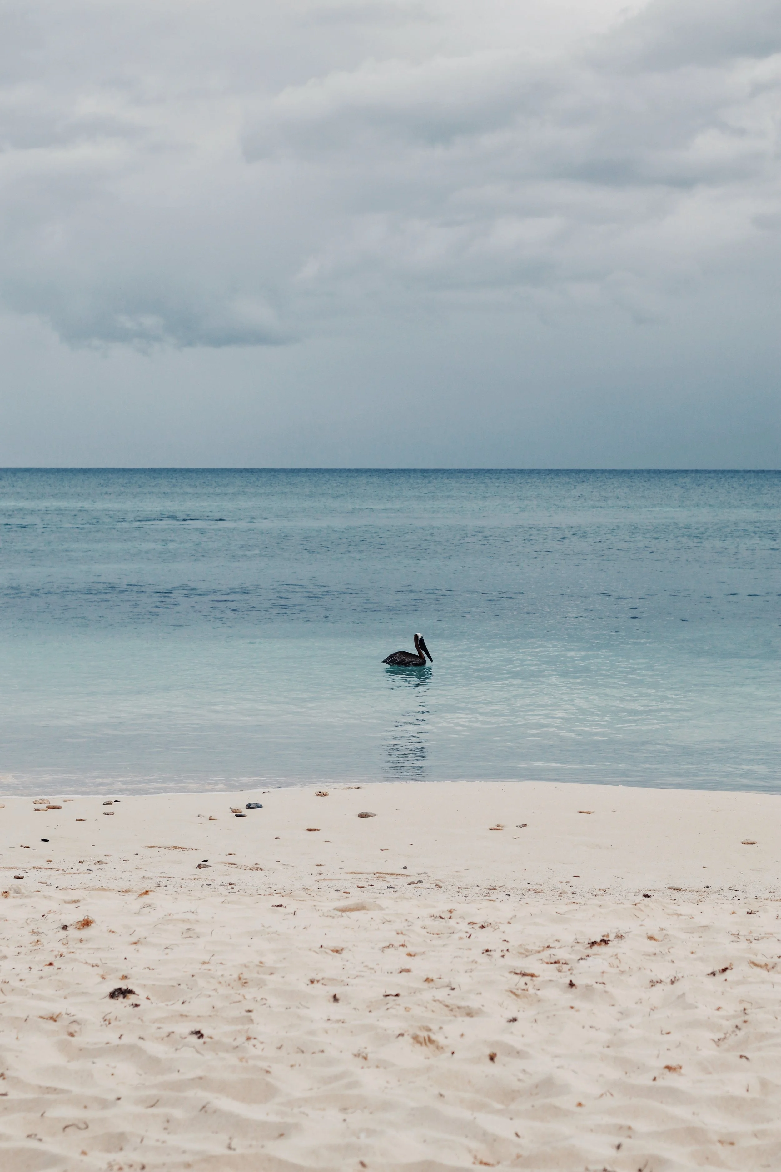 FullSizeRender_VSCO 24.JPG