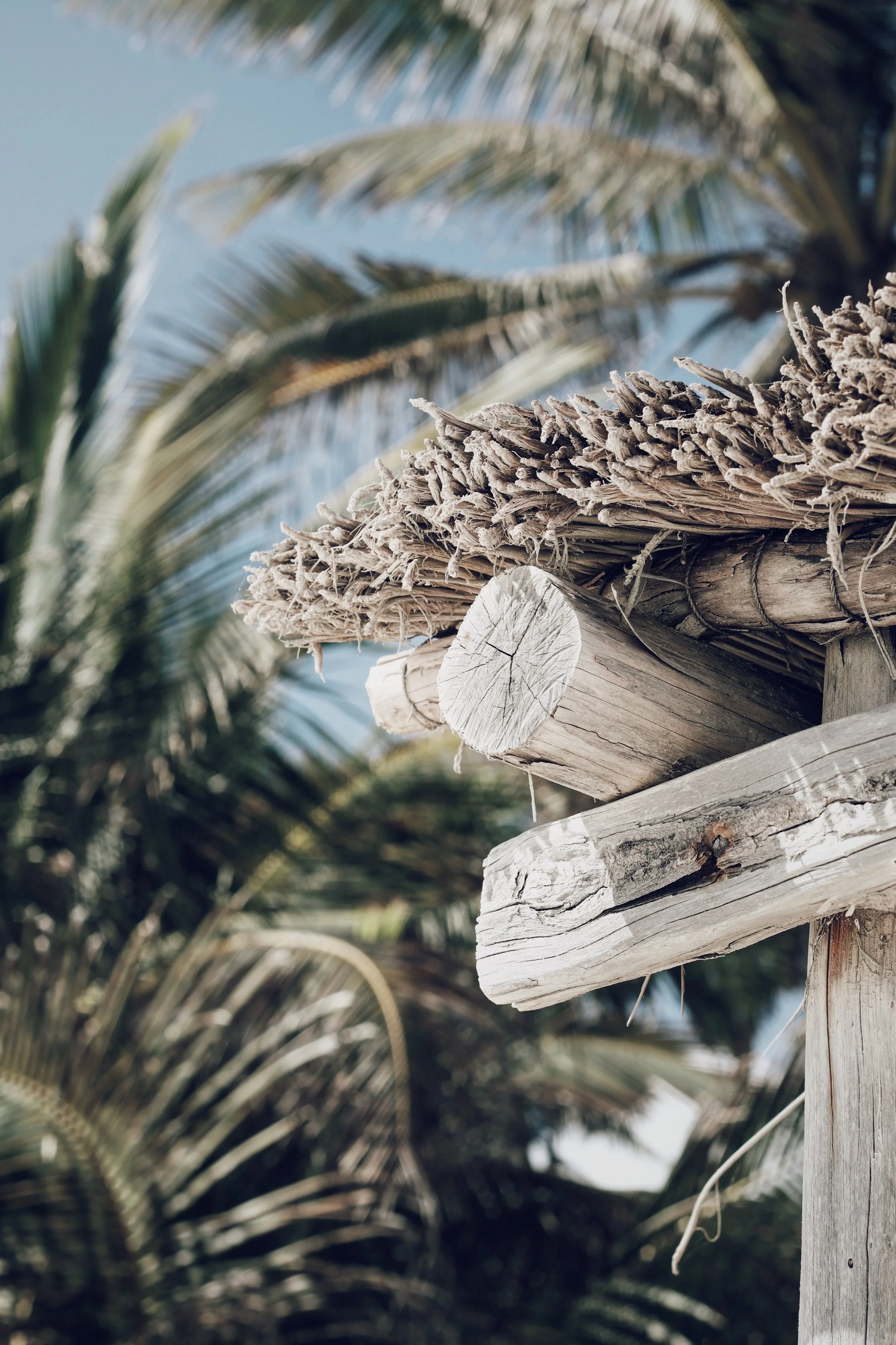 FullSizeRender_VSCO 32.JPG