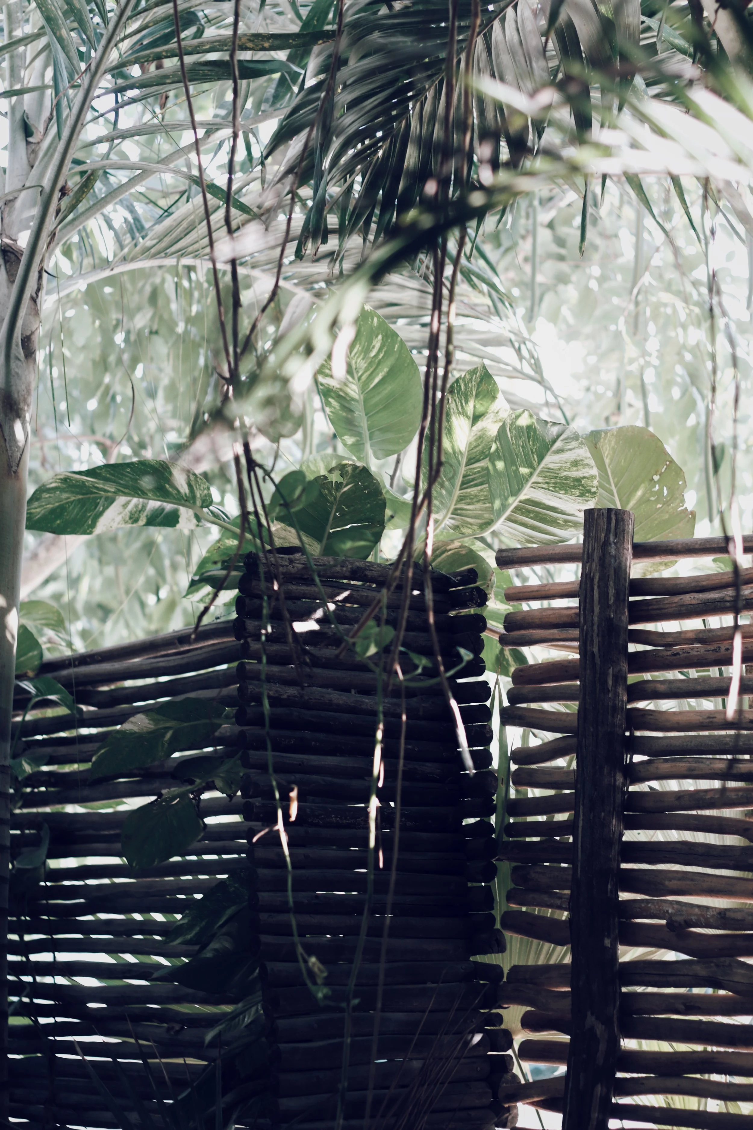 FullSizeRender_VSCO 37.JPG